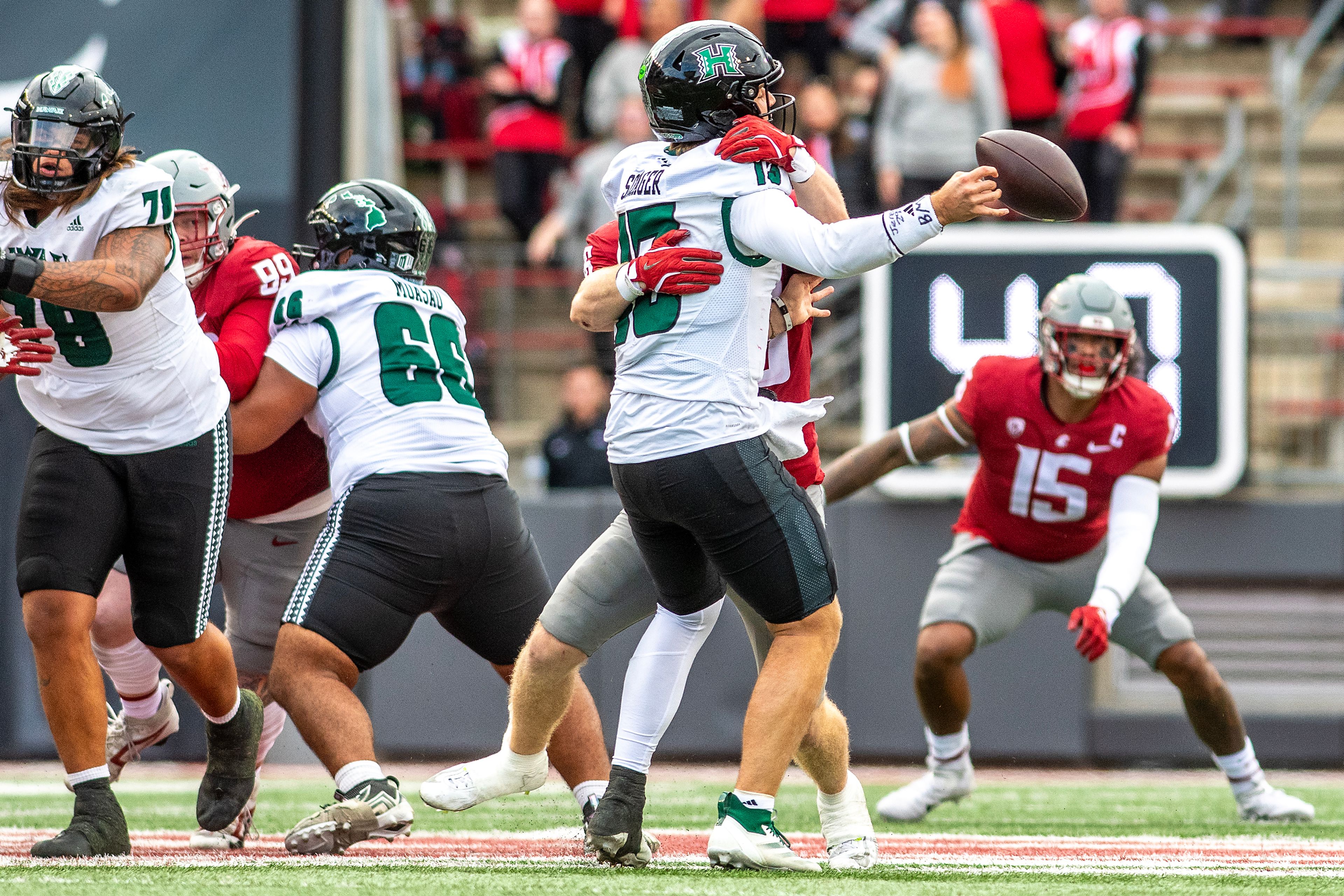 Hawaii quarterback Brayden Schager fumbles the ball as he�s sacked by Washington State linebacker Parker McKenna in a college football game on Saturday at Gesa Field in Pullman. WSU defeated Hawaii 42-10.,