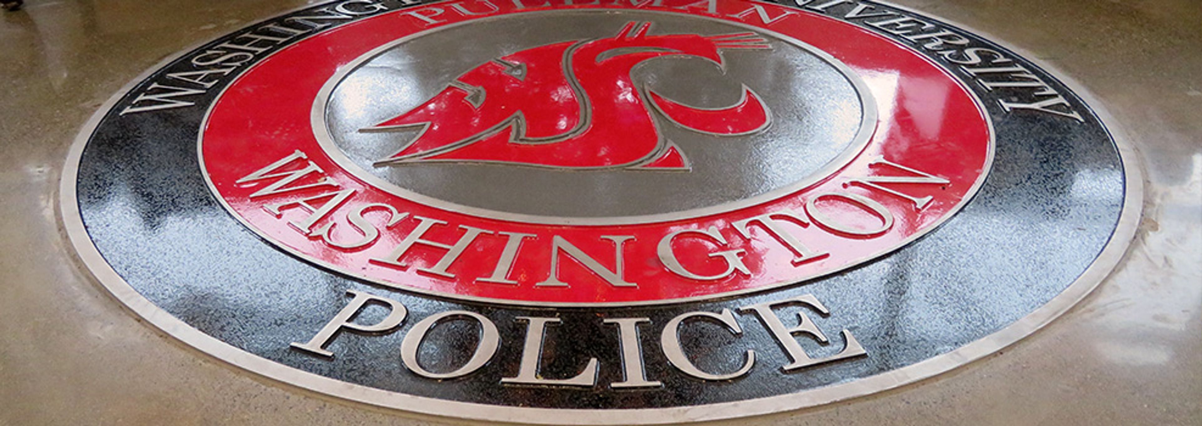 A female WSU student was allegedly sexually assaulted on campus 