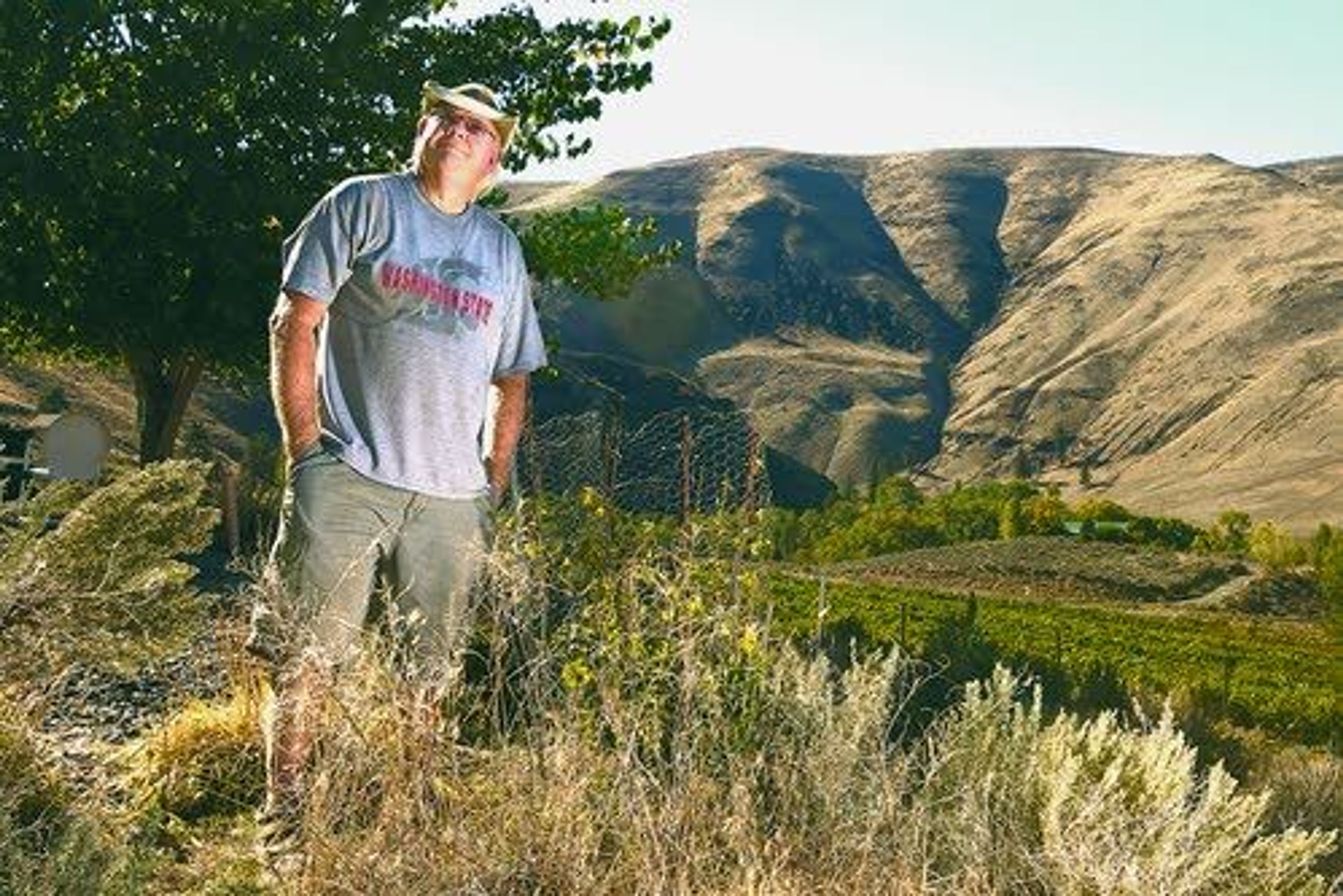 New apple appealing to Washington growers