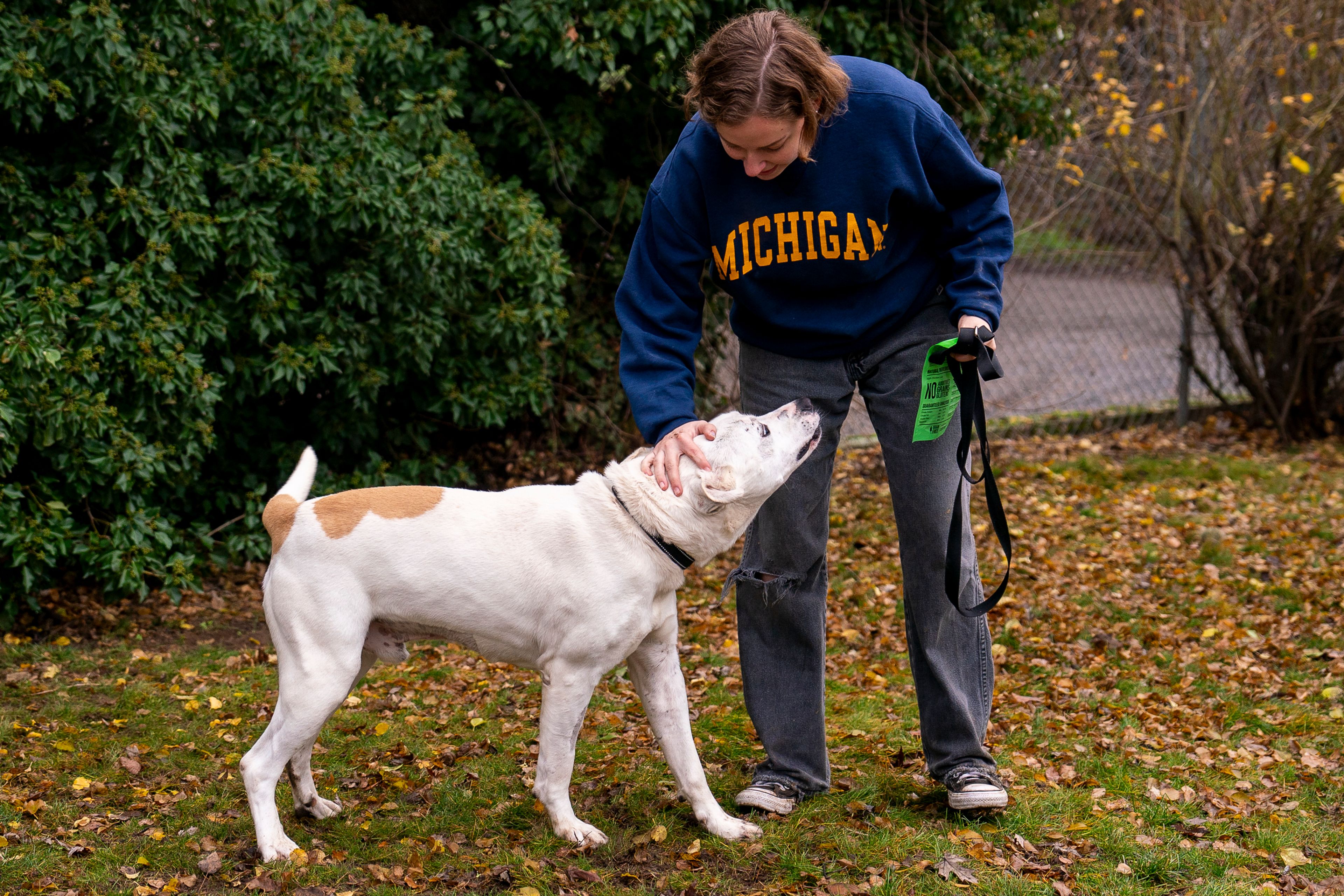 Chico the dog looks for a treat from Blair Voltz on Friday at Lewis Clark Animal Shelter in Lewiston.