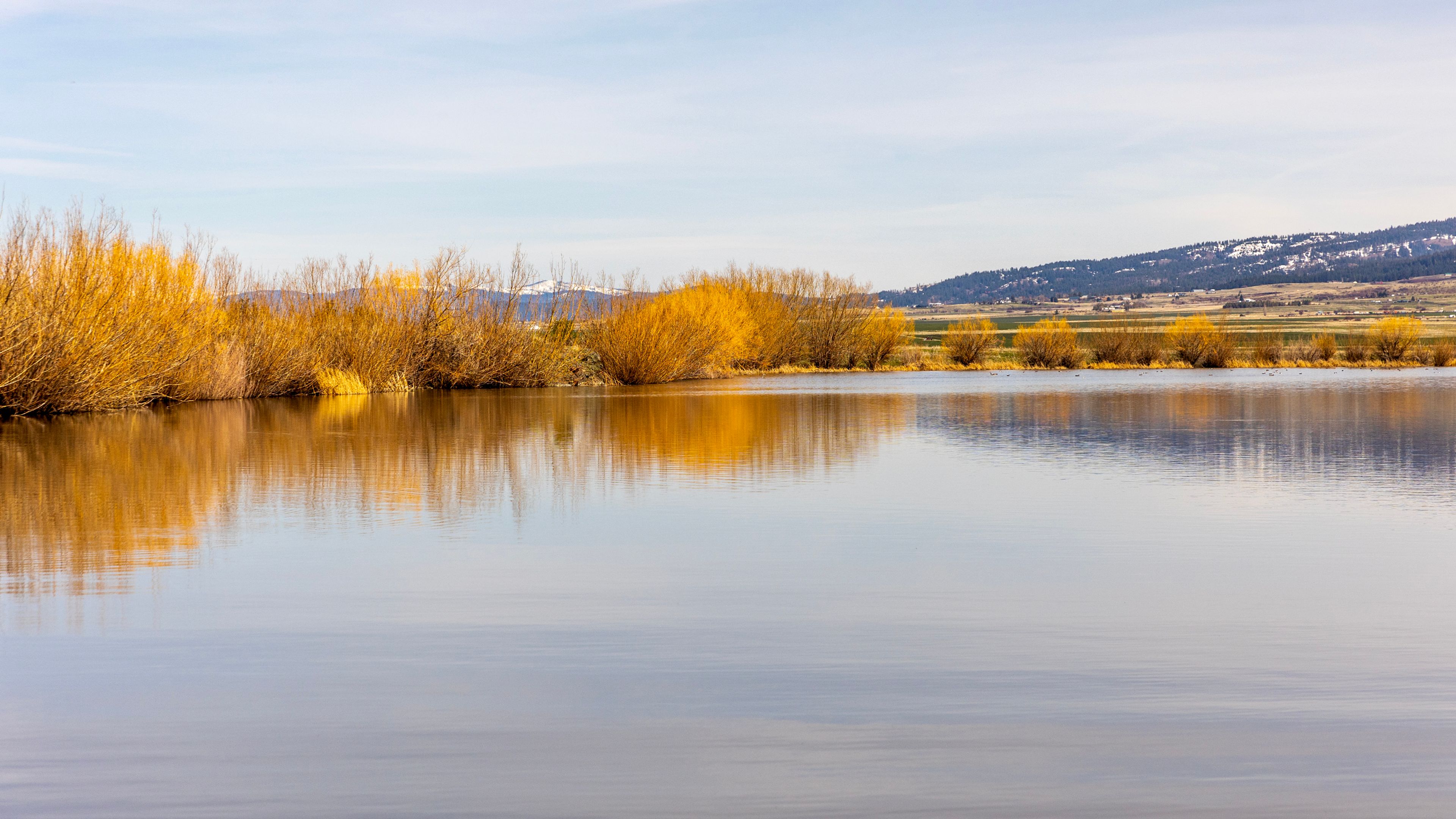 Tolo Lake is pictured Wednesday, April 26, near Grangeville.