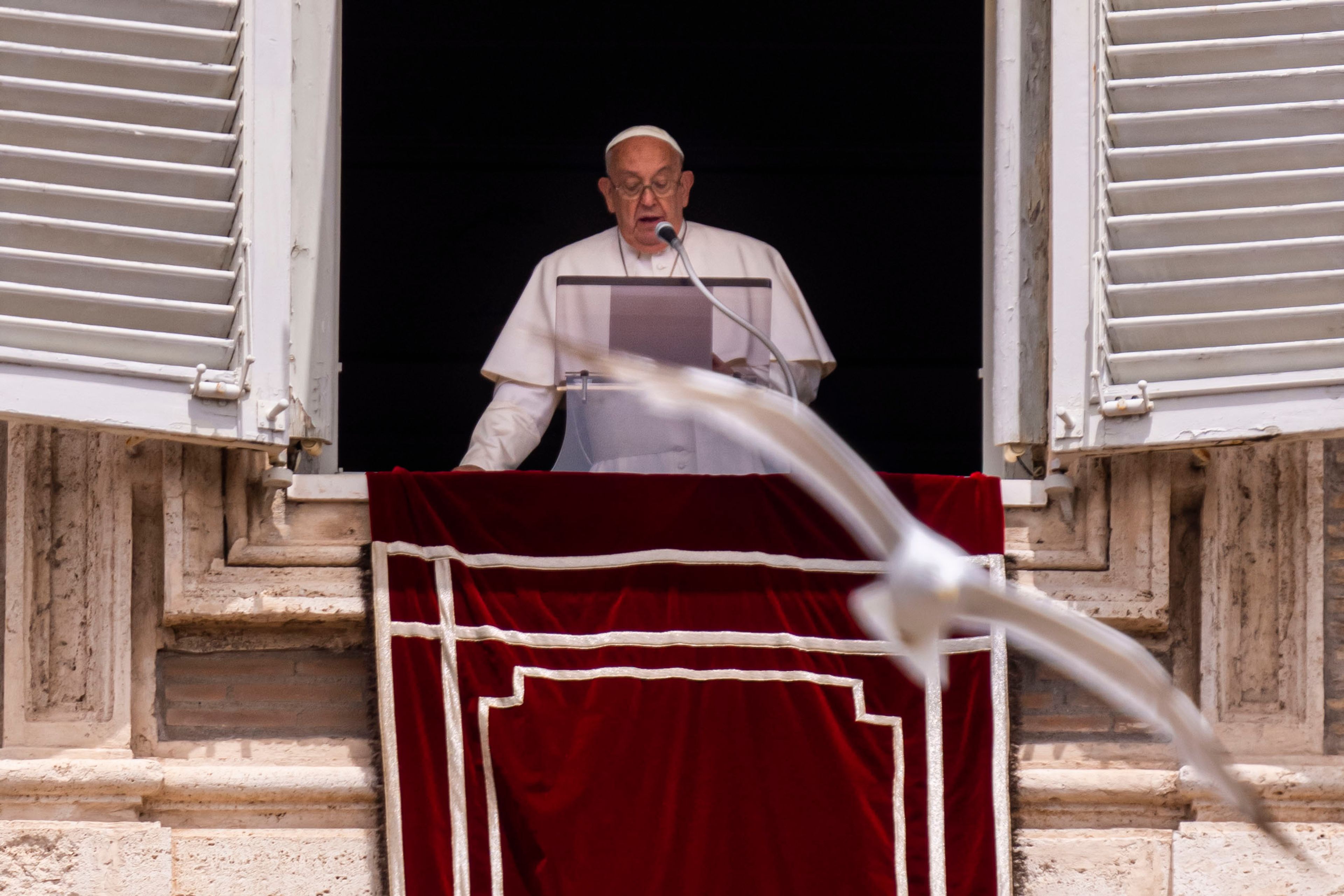 A seagull flies in front of Pope Francis during his appearance at his studiio's window overlooking St. Peter's Square at The Vatican, Sunday, June 9, 2024, where faithful and pilgrims gathered for the traditional Sunday's blessing at the end of the Angelus prayer.