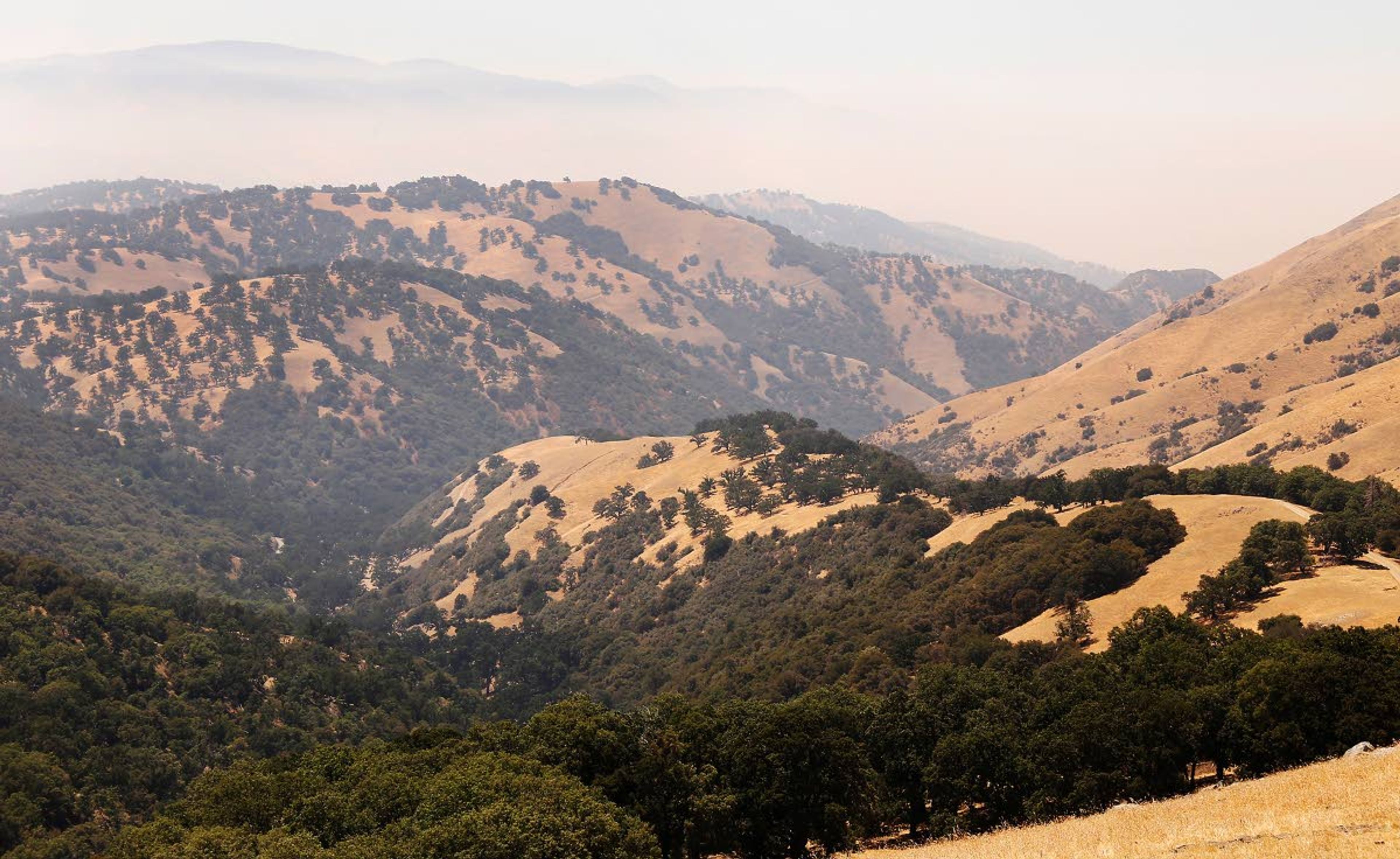 Oak trees stud the mountaintops of the Tejon Ranch. The ranch and an environmental group have announced an agreement to build more than 19,000 zero-emission residences near the Tehachapi Mountains.