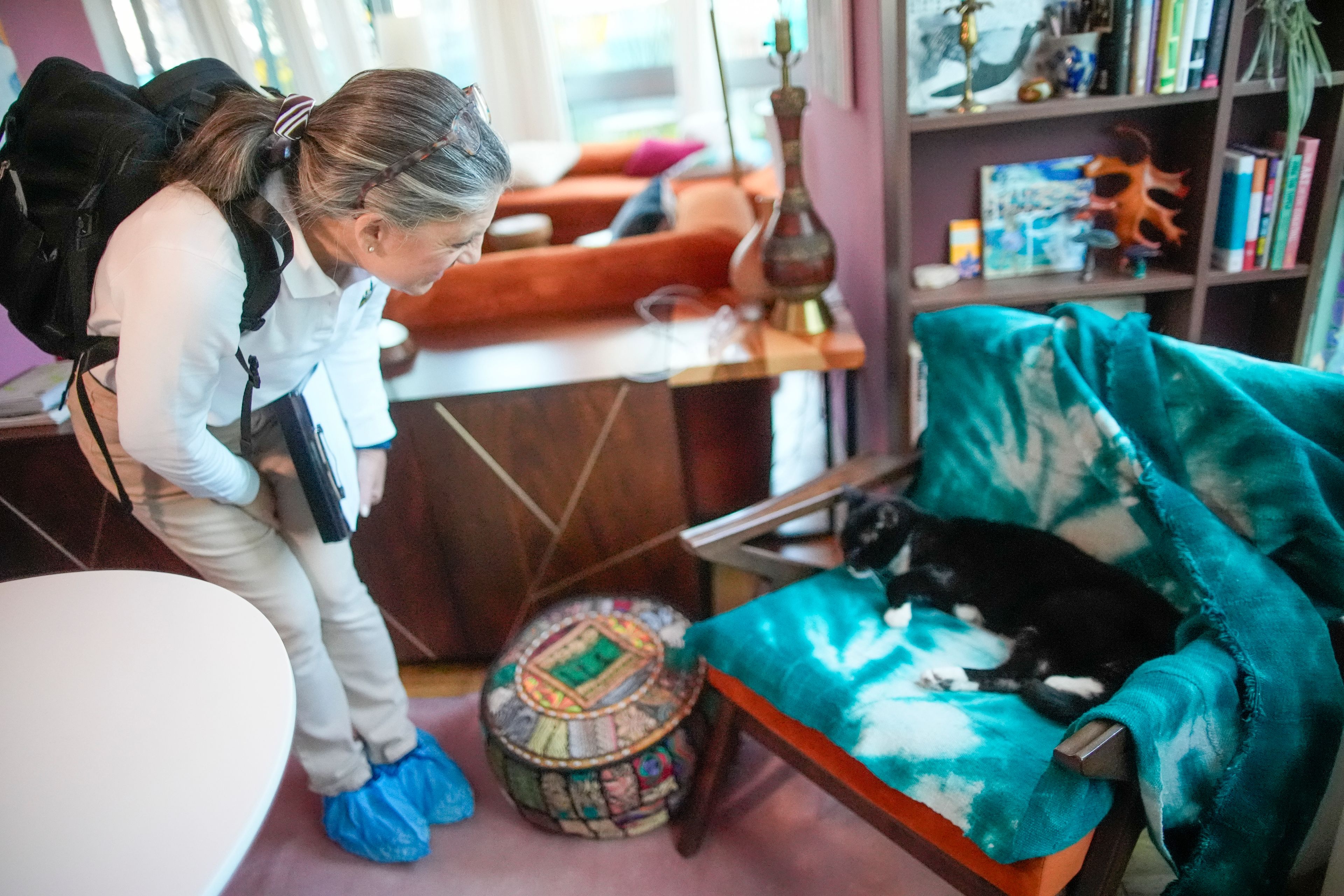 Dr. Amy Attas, greets Puddy Beyer, a 19 year old male Domestic Short Haired cat, as she arrives for a house call, Tuesday, April 23, 2024, in New York.