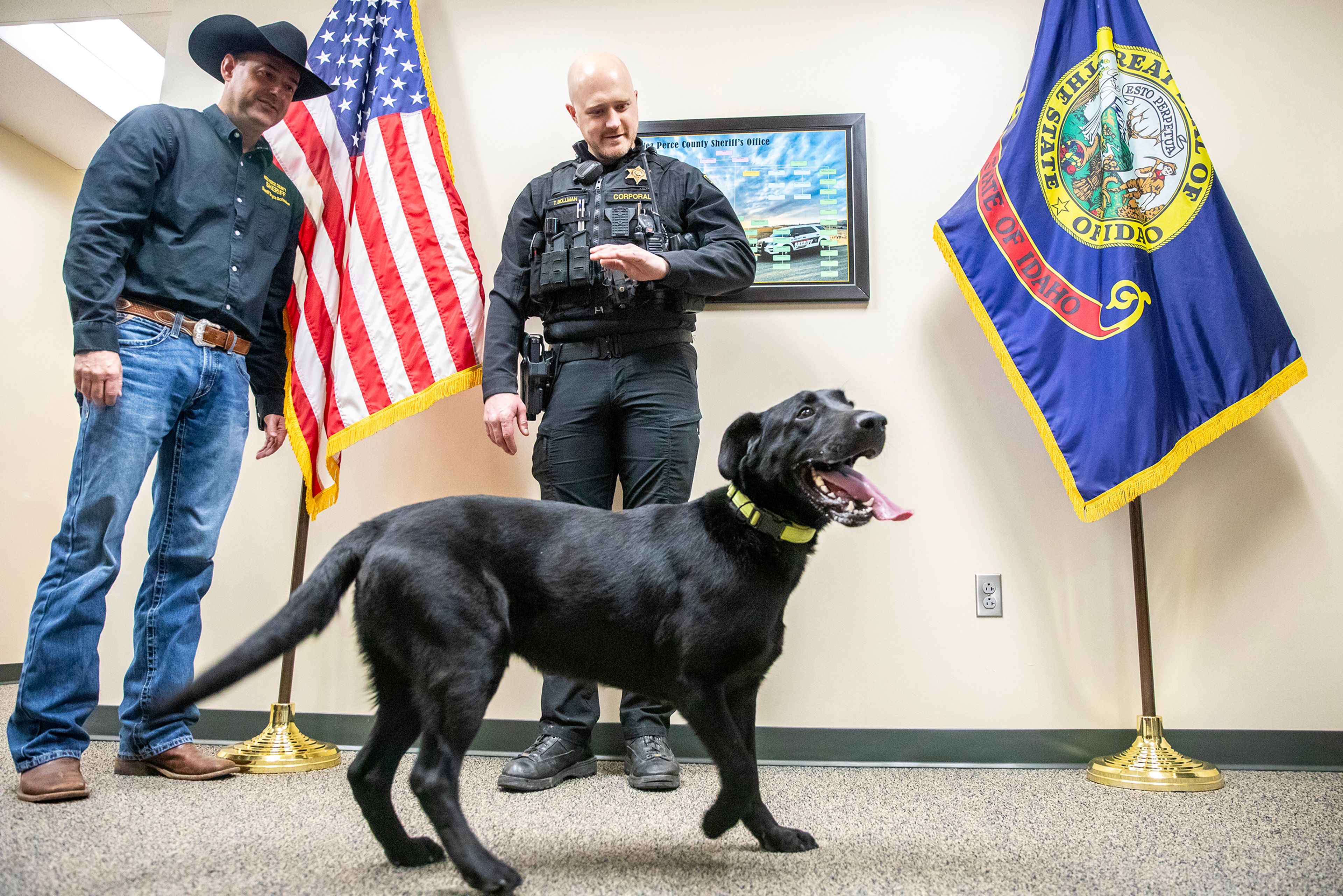 Kobe looks around as Nez Perce County Cpl. Tyler Bollman and Sheriff Bryce Scrimsher look on Wednesday at the New Perce County Sheriff’s Department in Lewiston.