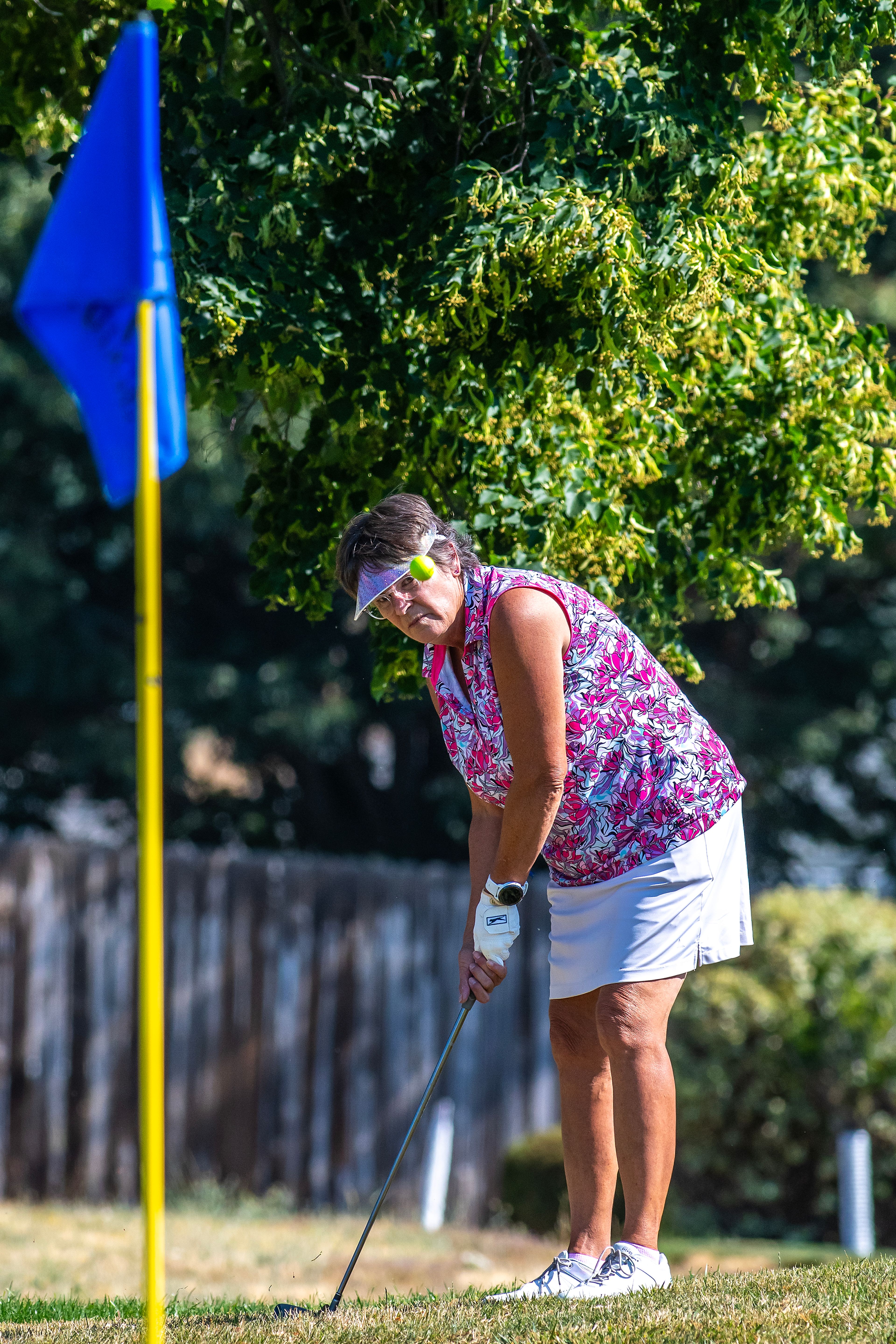 Mary Lauritsen, with Red Wolf Golf Golf Club, watches her ball on a chip towards the hole during the Tribune Cup golf tournament at Quail Ridge Golf Course on Tuesday in Clarkston.