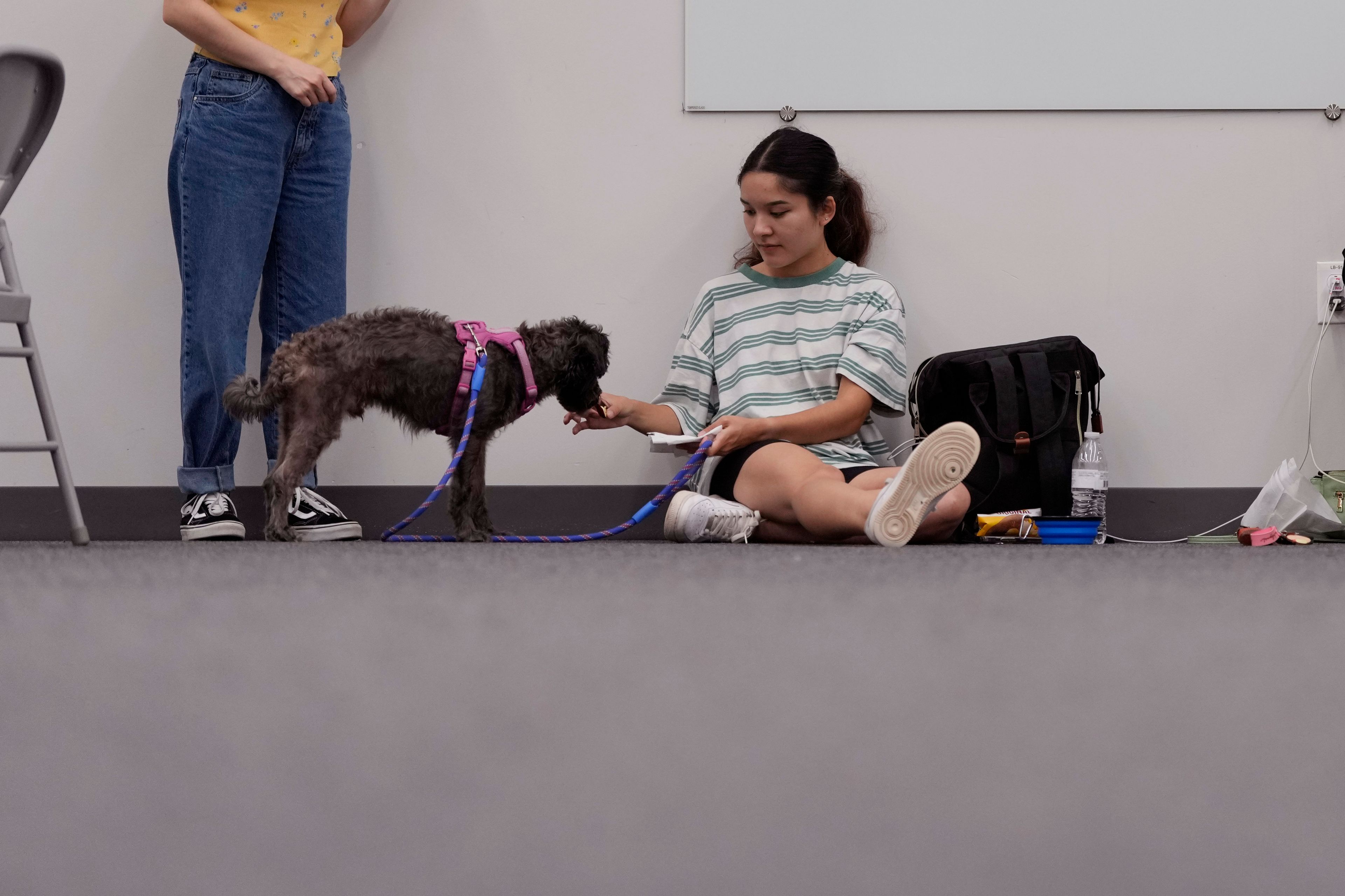 Houston resident Tiffany Guerra charges her cell phone and spends time with her dog Finn at a cooling station in Houston, Tuesday, July 9, 2024. The effects of Hurricane Beryl left most in the area without power. (AP Photo/Eric Gay)