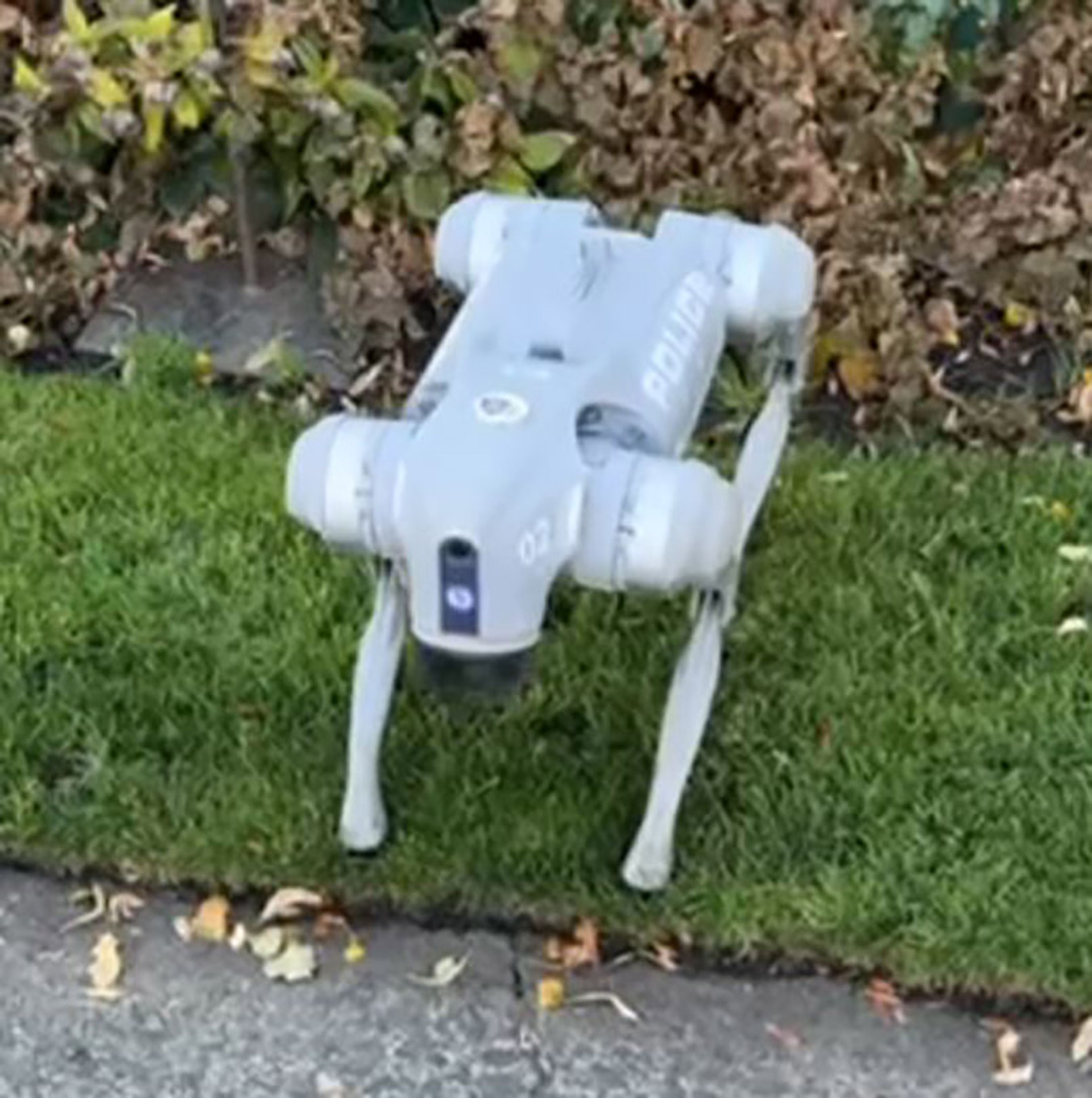 This photo captured from a video shows "MIKE," or Mission-Integrated Kinetic Entity, a Unitree Go2 Robot Dog purchased by the Pullman Police Department.