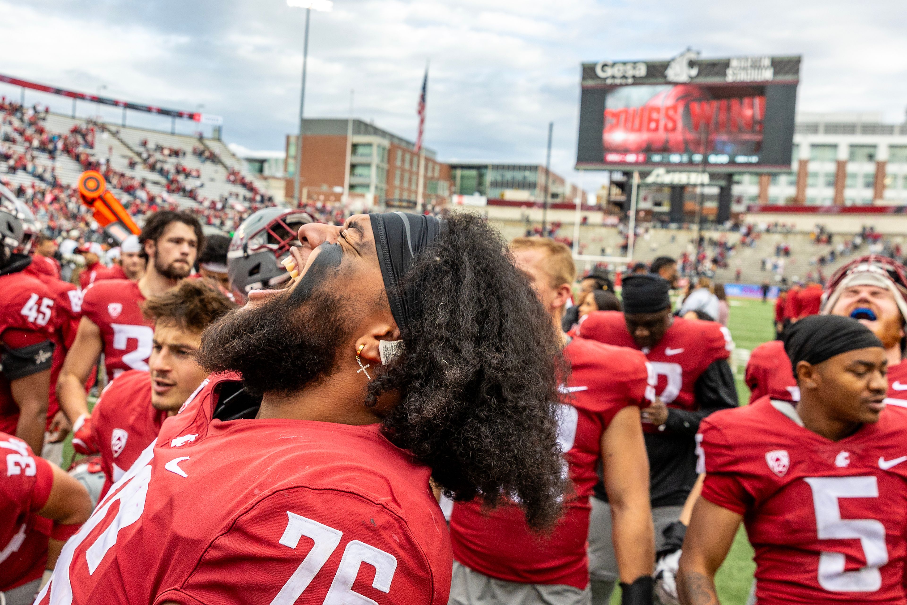 Washington State offensive lineman Esa Pole lets out a yell as the Cougars celebrate their victory over Hawaii in a college football game on Saturday at Gesa Field in Pullman. WSU defeated Hawaii 42-10.,