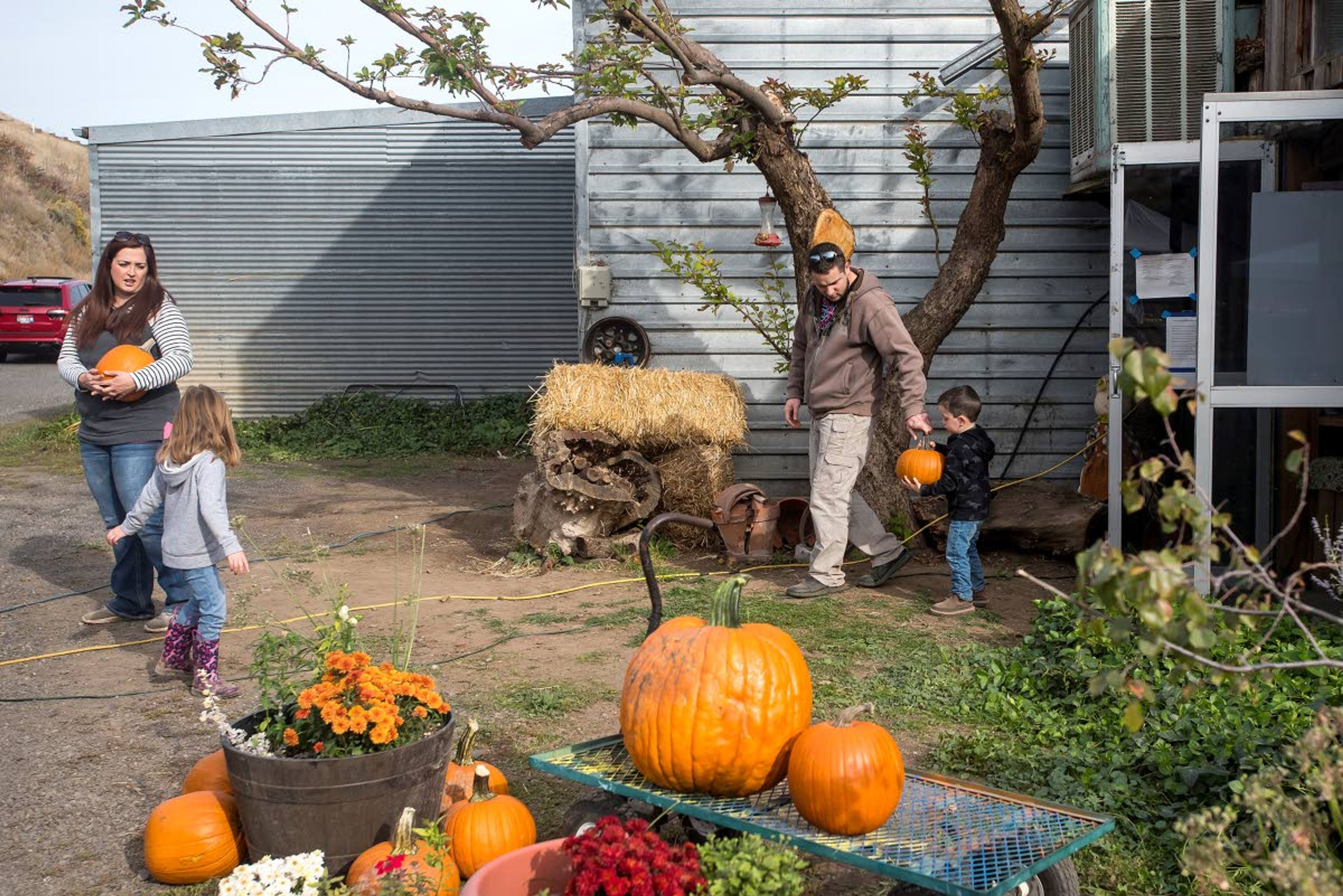 Patrons file out of the store with their pumpkins during the Harvest Festival at Wilson Banner Ranch on Saturday near Clarkston.