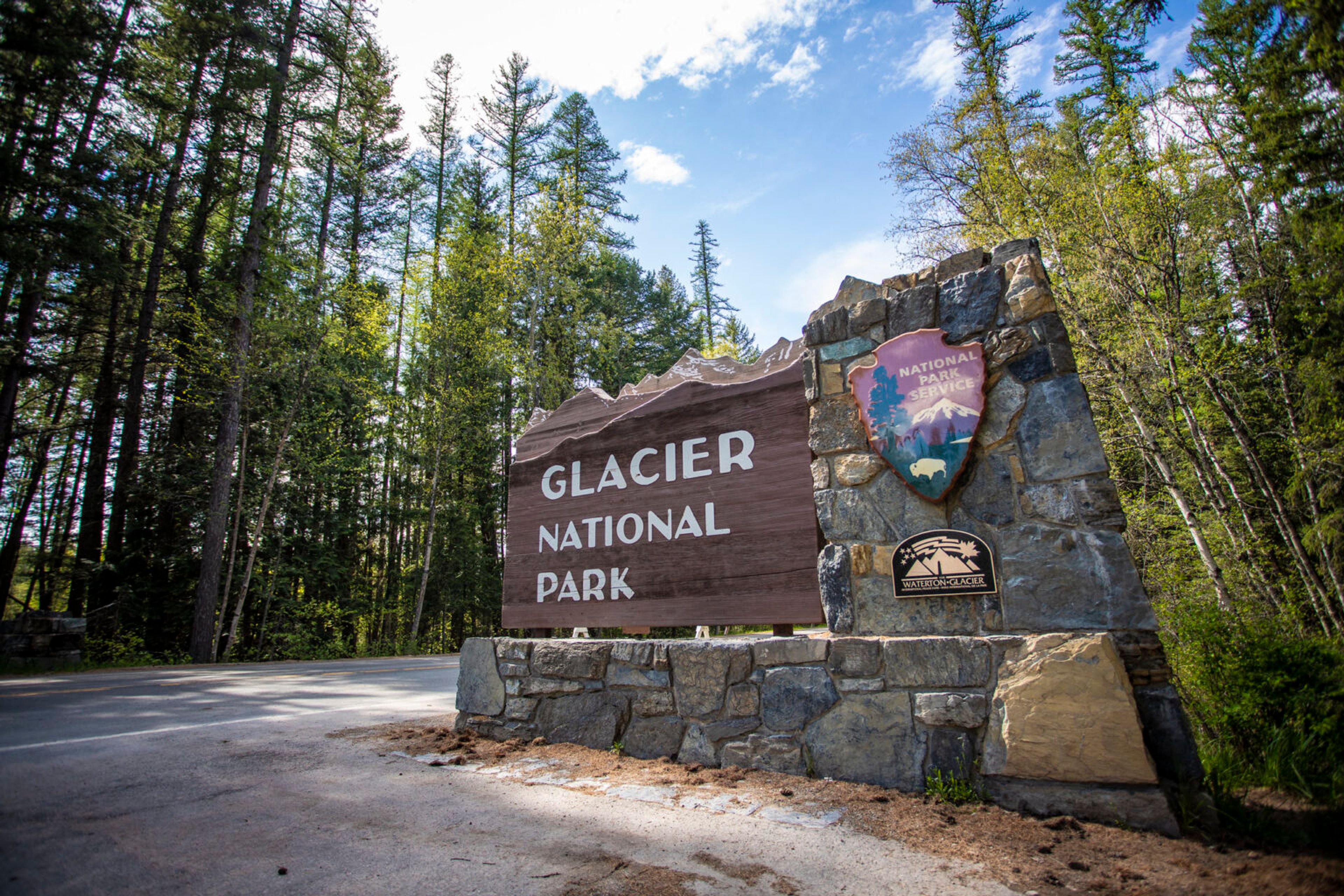 Glacier, Yellowstone numbers are up