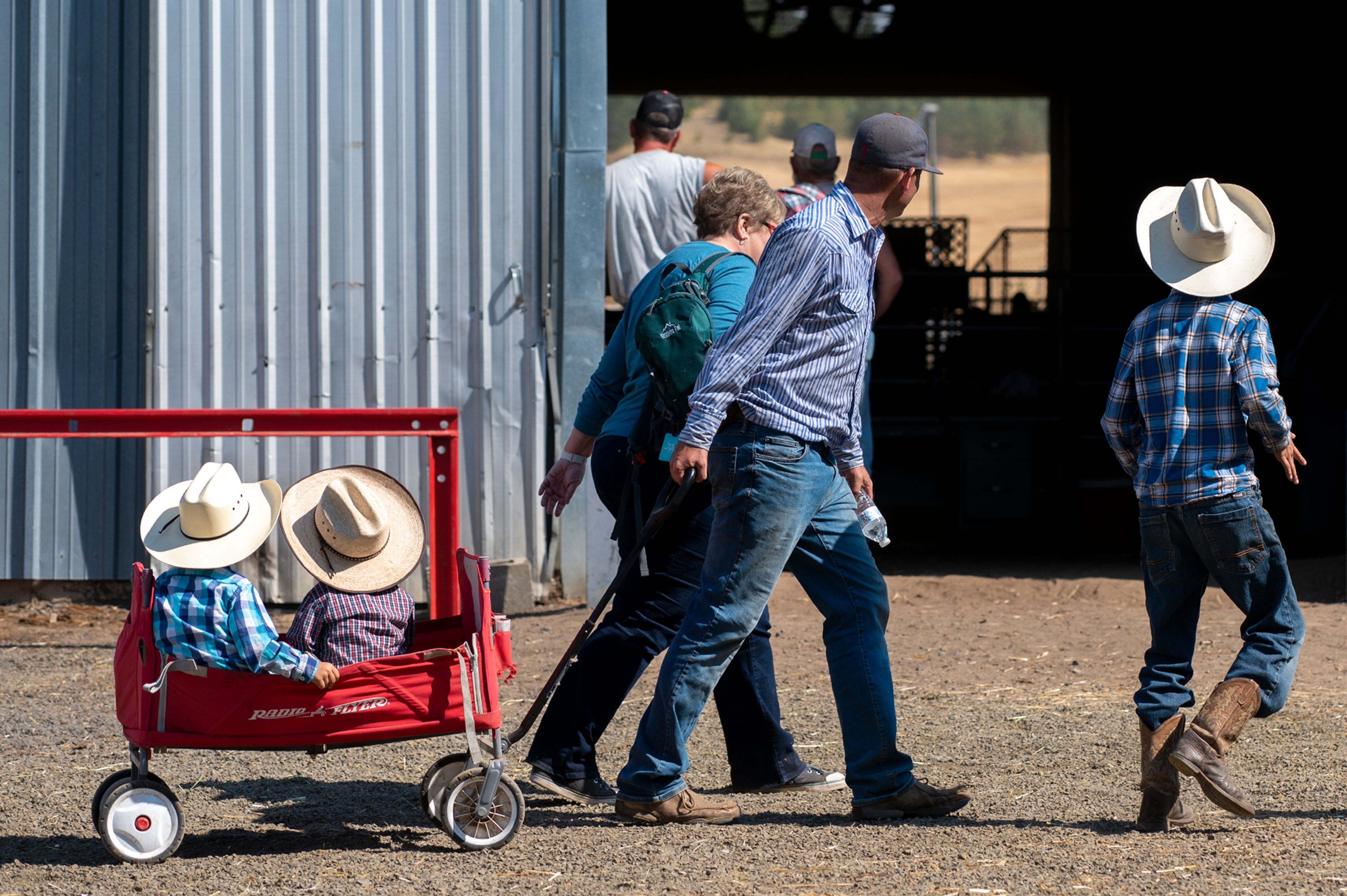 Fairgoers peer into the Beef Barn during the FFA Feeder Steer judging Thursday at the Palouse Empire Fair.