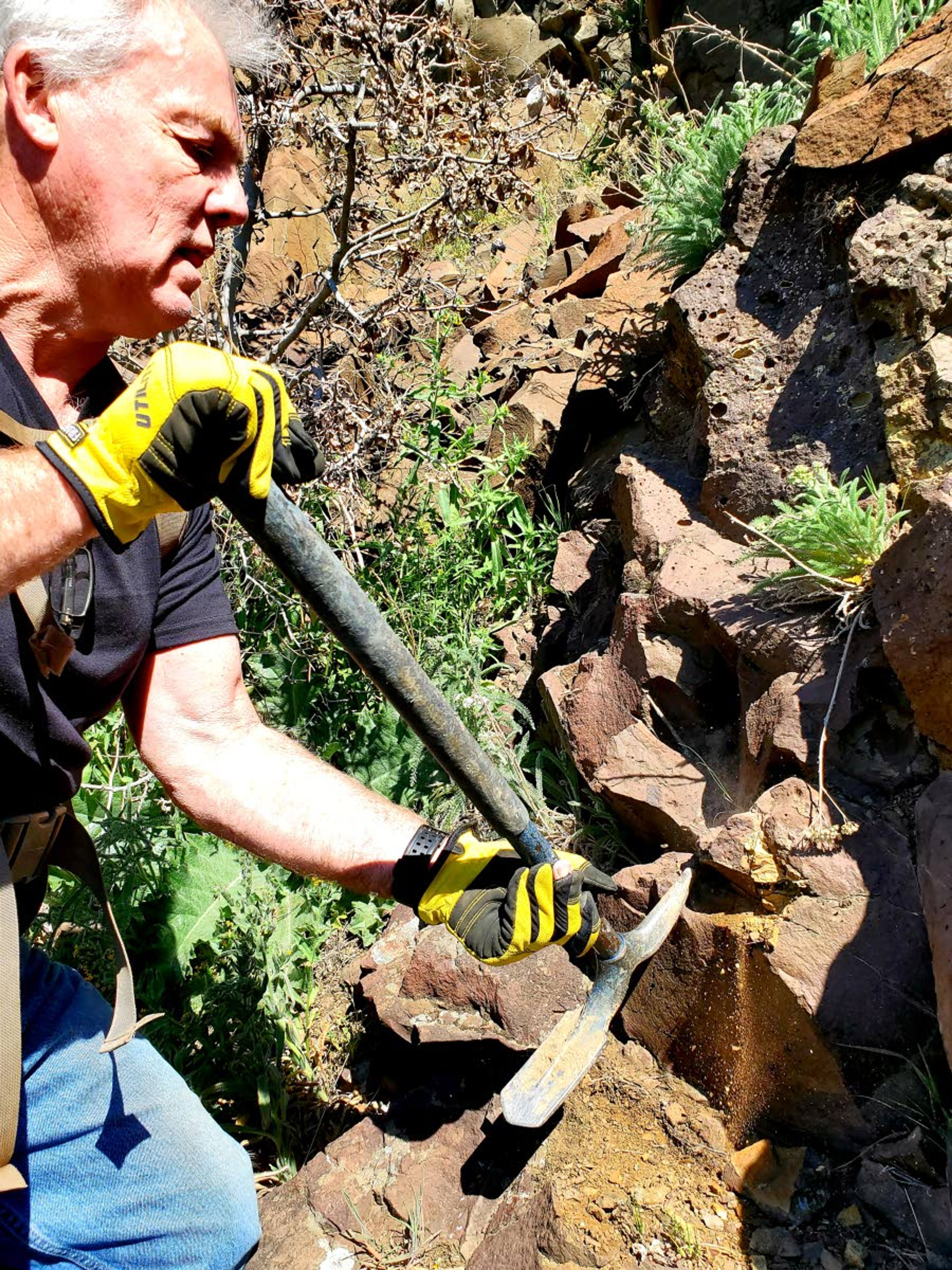 Randy Squires uses a pick ax to remove a piece of Fryite from basalt.