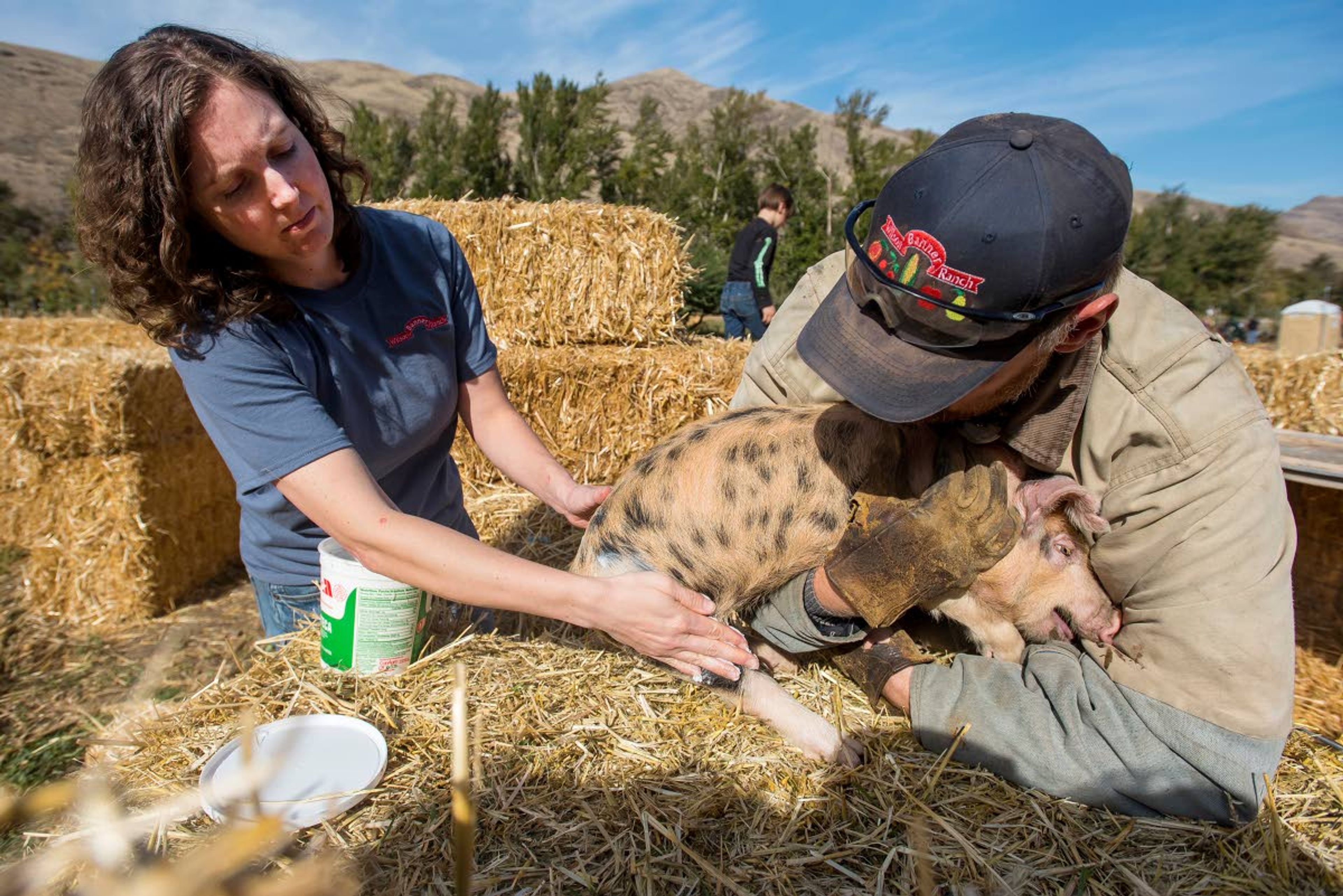 Kate Wilson applies lard to a piglet’s back feet while Eric Wilson holds the swine during the Harvest Festival at Wilson Banner Ranch on Saturday near Clarkston.