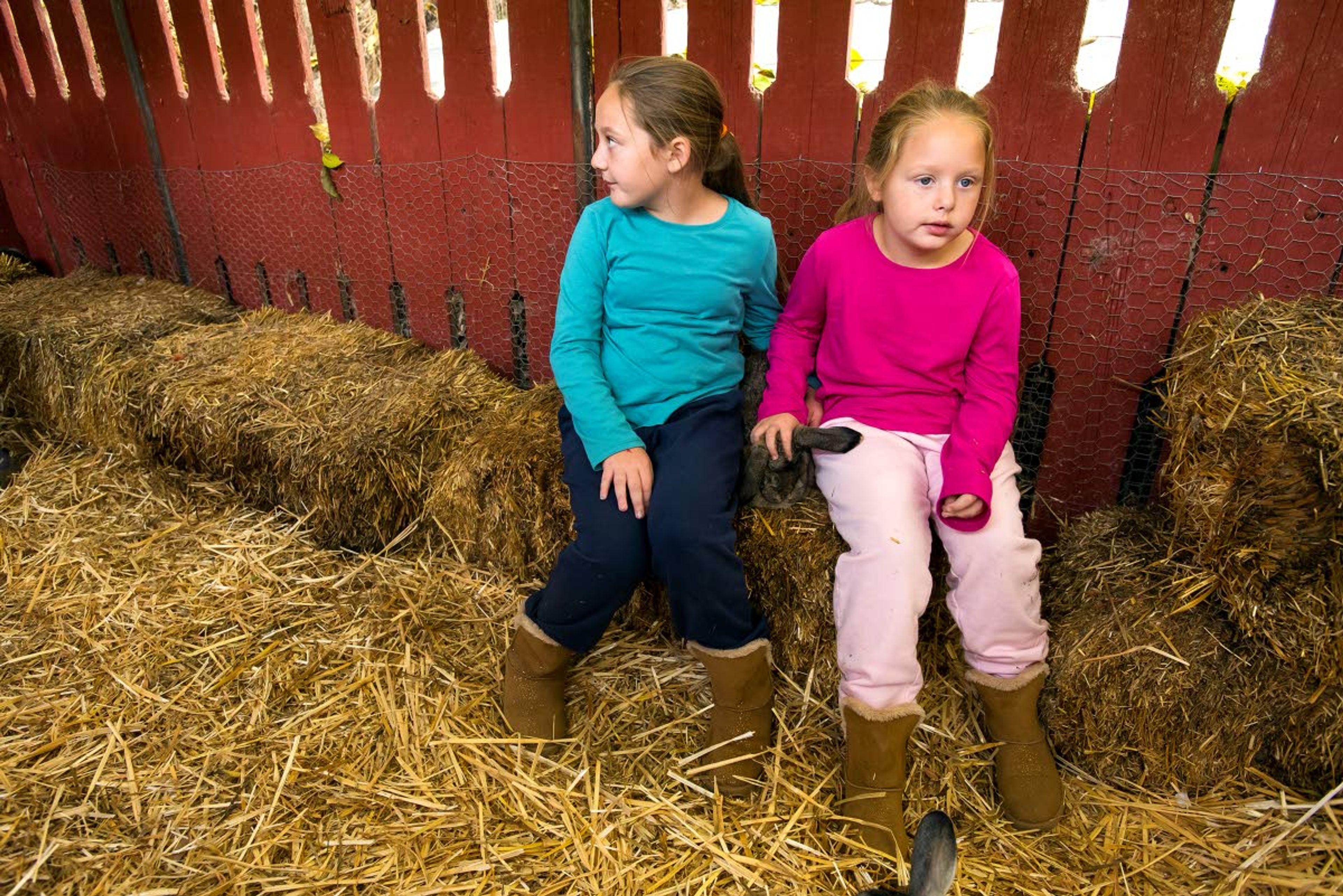 Kaelynn Simmons, 8, (left) and Paisley Speno, 6, (right) pet a rabbit during the Harvest Festival at Wilson Banner Ranch on Saturday near Clarkston.