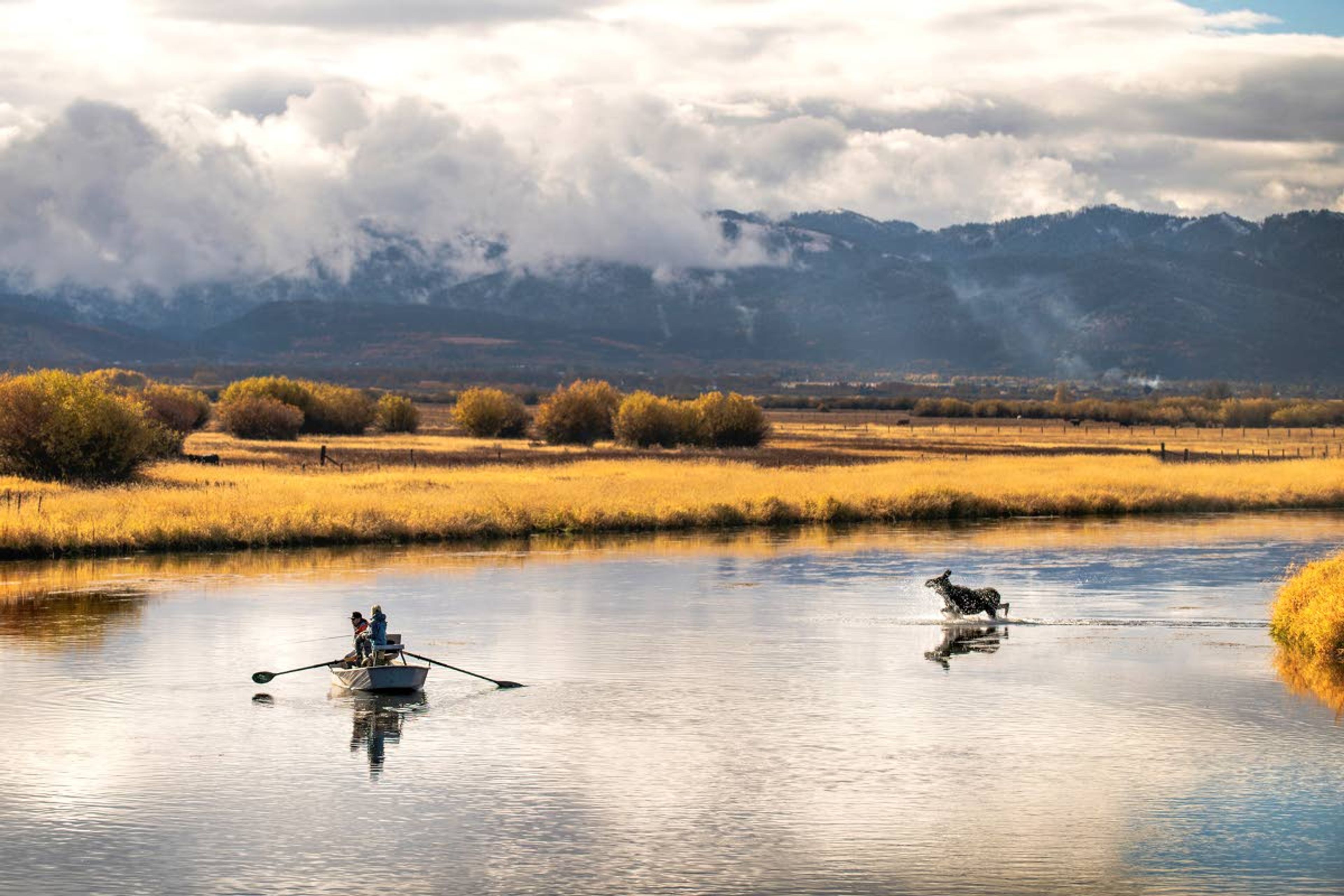 Films celebrating fishing and hunting to be screened in Lewiston