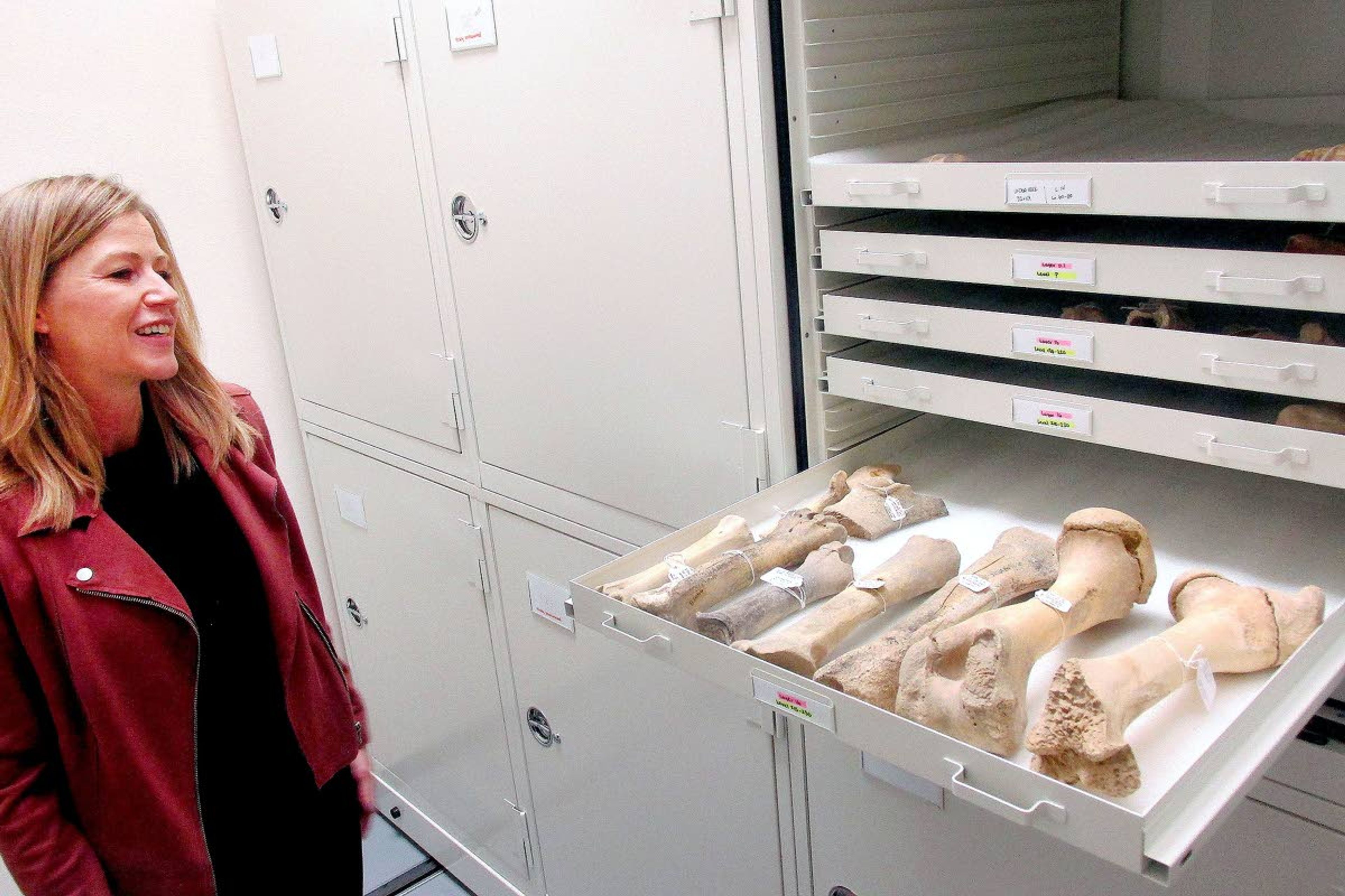 Carrie Athay, director of curation and collections at the Museum of Idaho, shows off a tray of 9,000-year-old bison bones found at the Wasden Cave west of Idaho Falls. The storage system was made possible by a Save America’s Treasures grant.