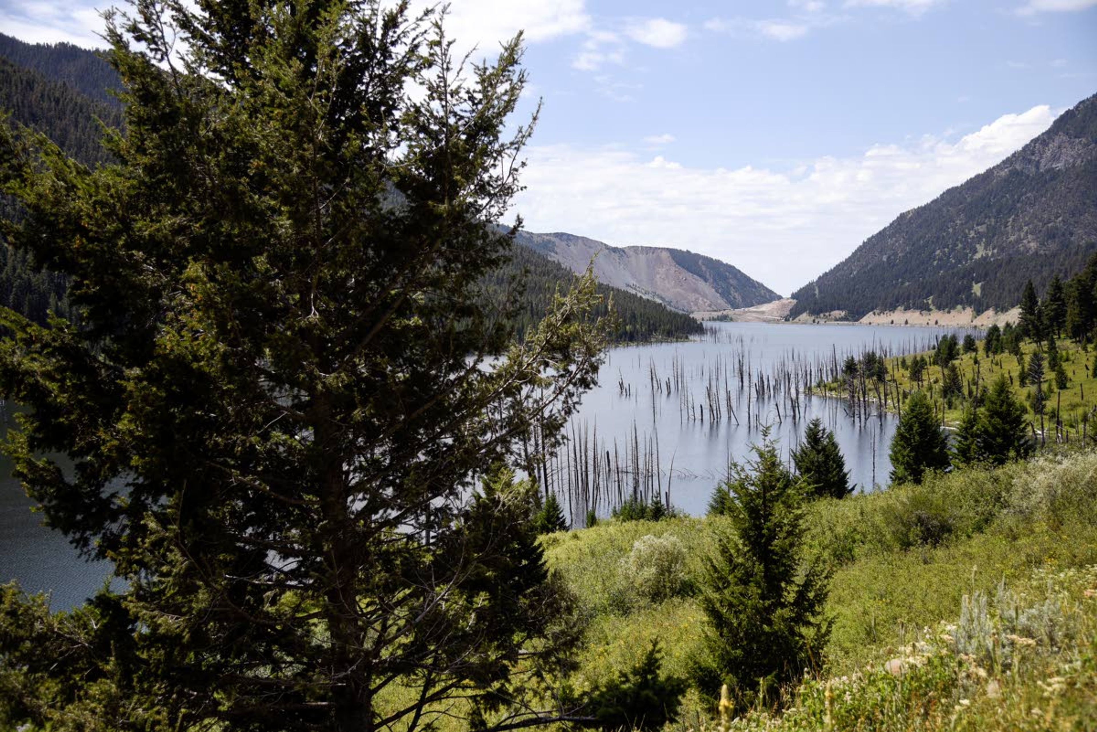 This photo taken Aug. 1, 2019, shows the skeletons of dead trees stick out above the surface of Earthquake Lake in Montana. An earthquake had disrupted the full-moon night of Aug. 17, 1959, turning it chaotic and terrifying. The quake had a magnitude of 7.3, and it remains the largest to hit the region. (Rachel Leathe/Bozeman Daily Chronicle via AP)