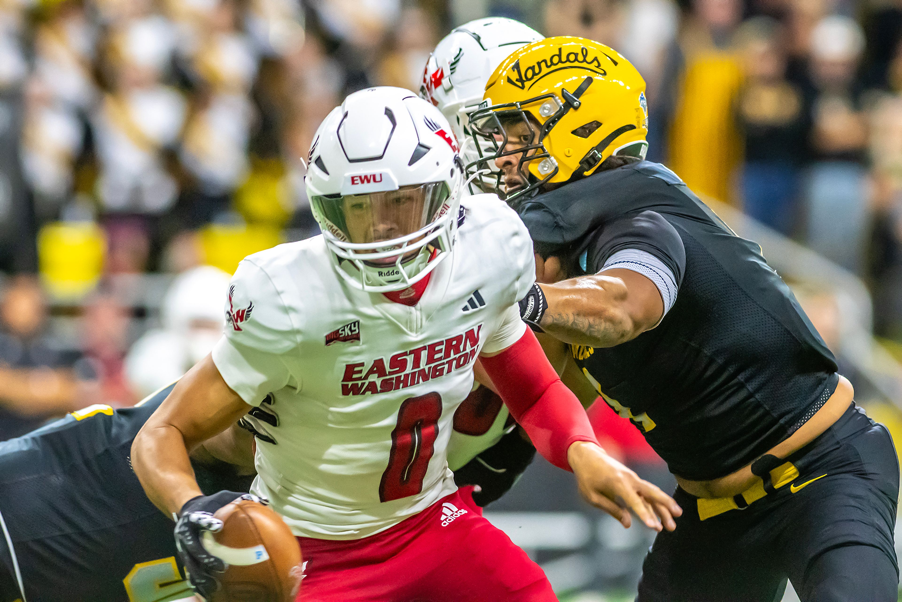 Eastern Washington quarterback Kekoa Visperas looks to escape from Idaho defensive lineman Keyshawn James-Newby during a Big Sky game Oct. 26 at the Kibbie Dome in Moscow. 