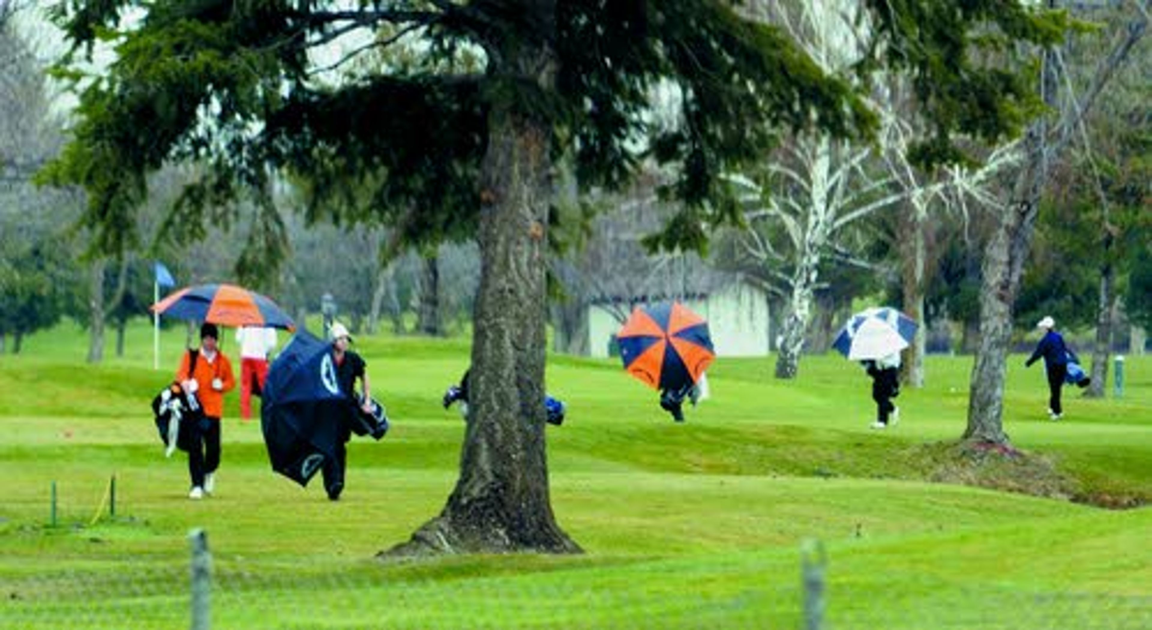 Rain's better than snow