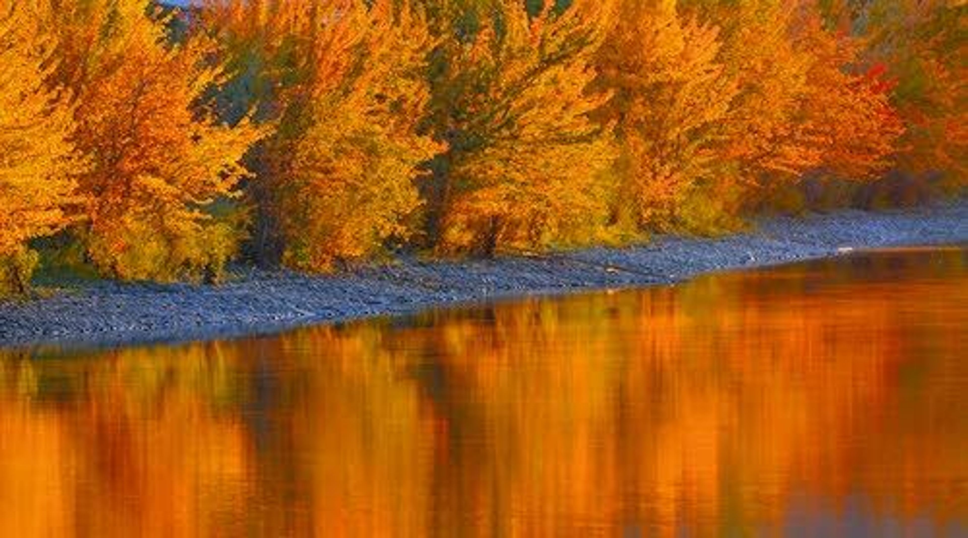 Fall is showing its colors