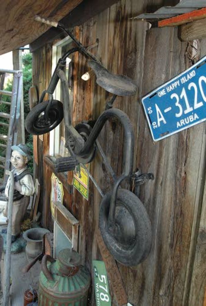 Backyard time machine