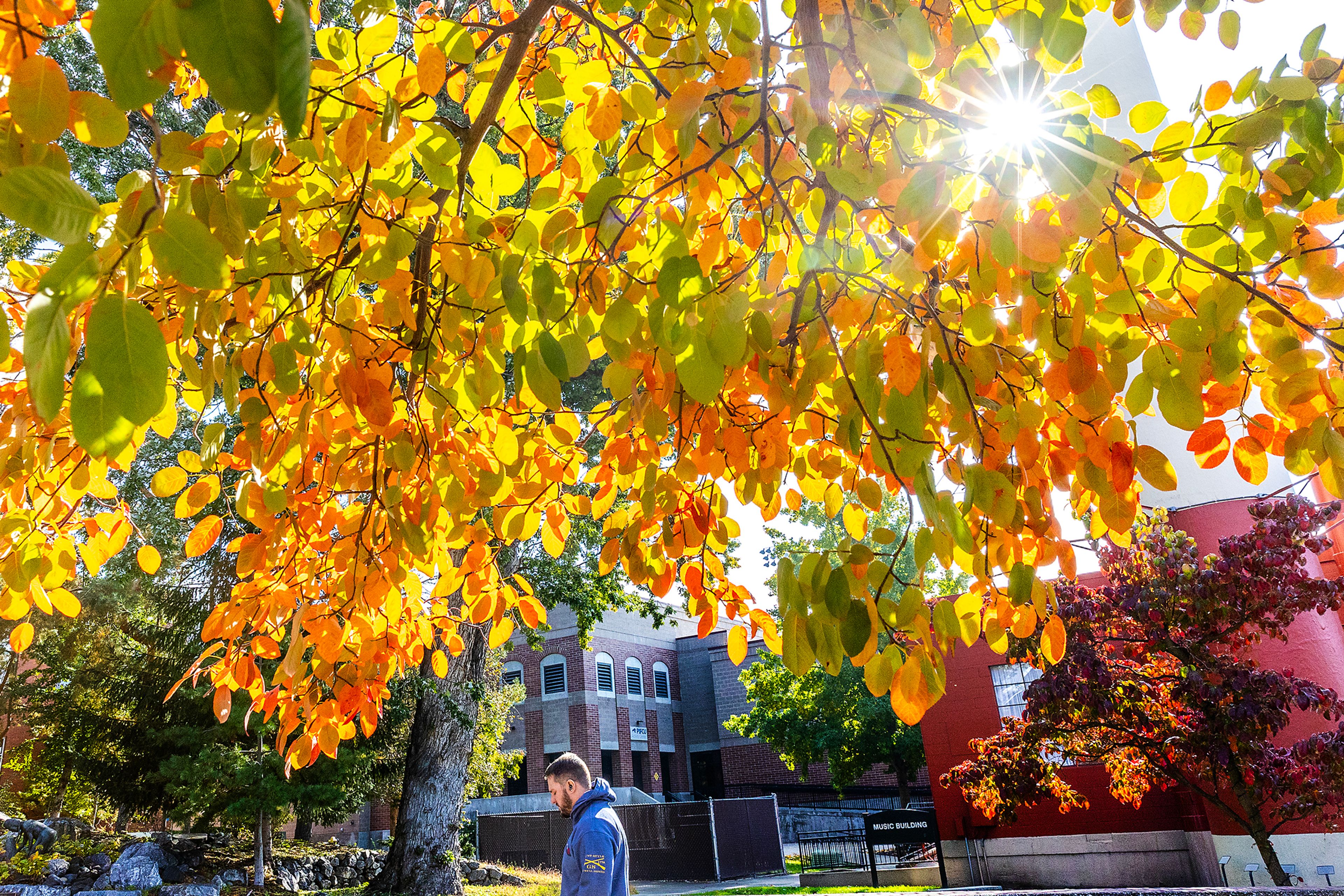 PHOTOS: Autumnal Bright colors paint the trees