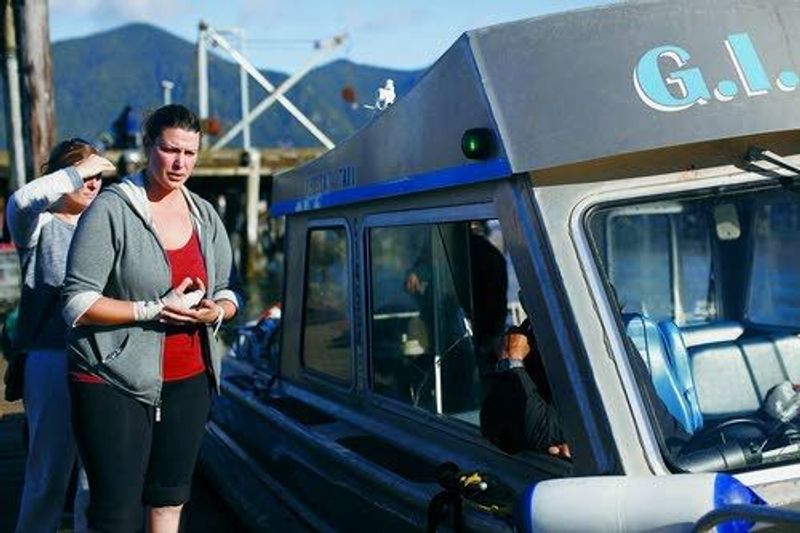 Five Britons die after whale boat sinks off Vancouver Island