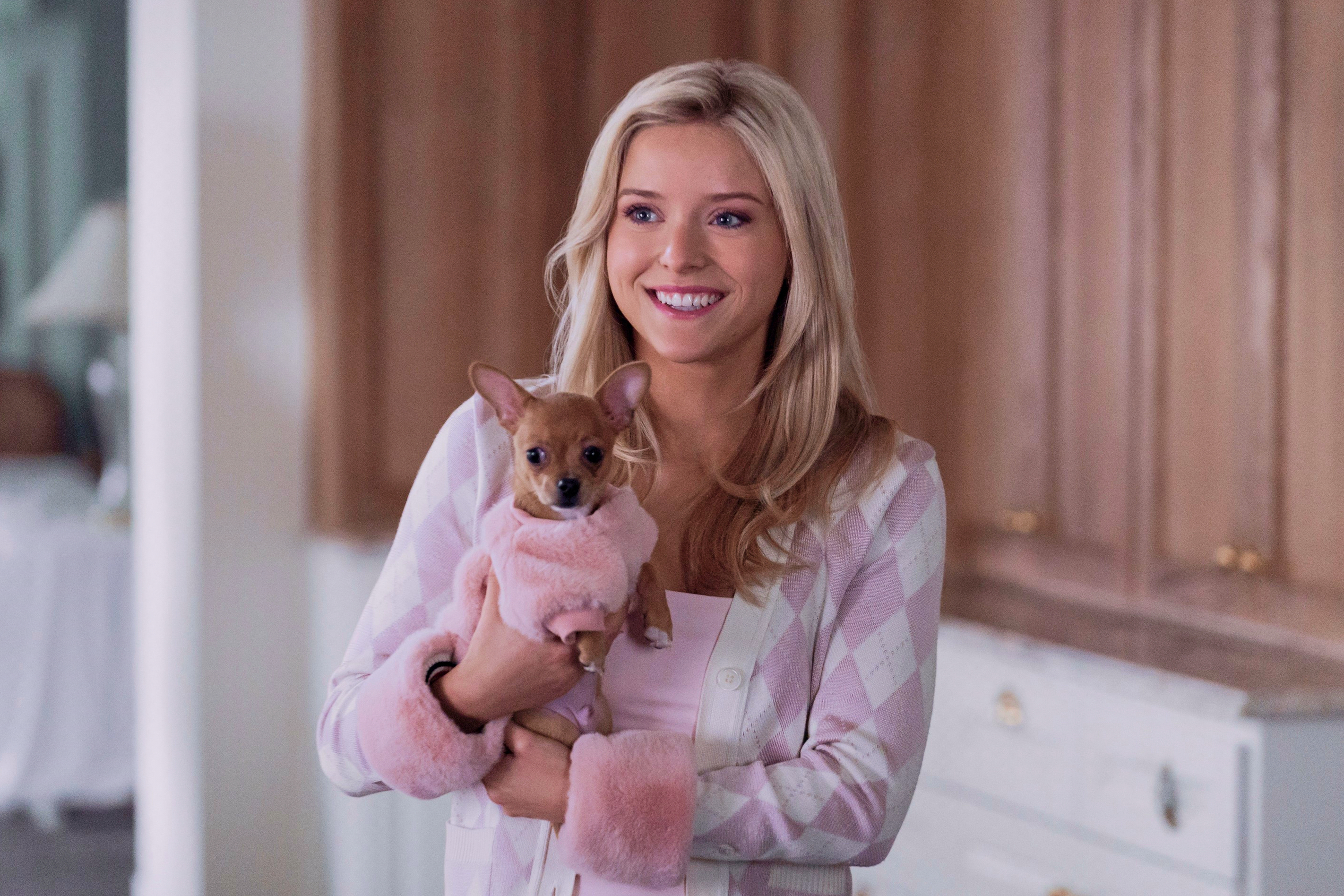 The Stream: ‘Legally Blonde’ prequel series ‘Elle’ is served on Prime