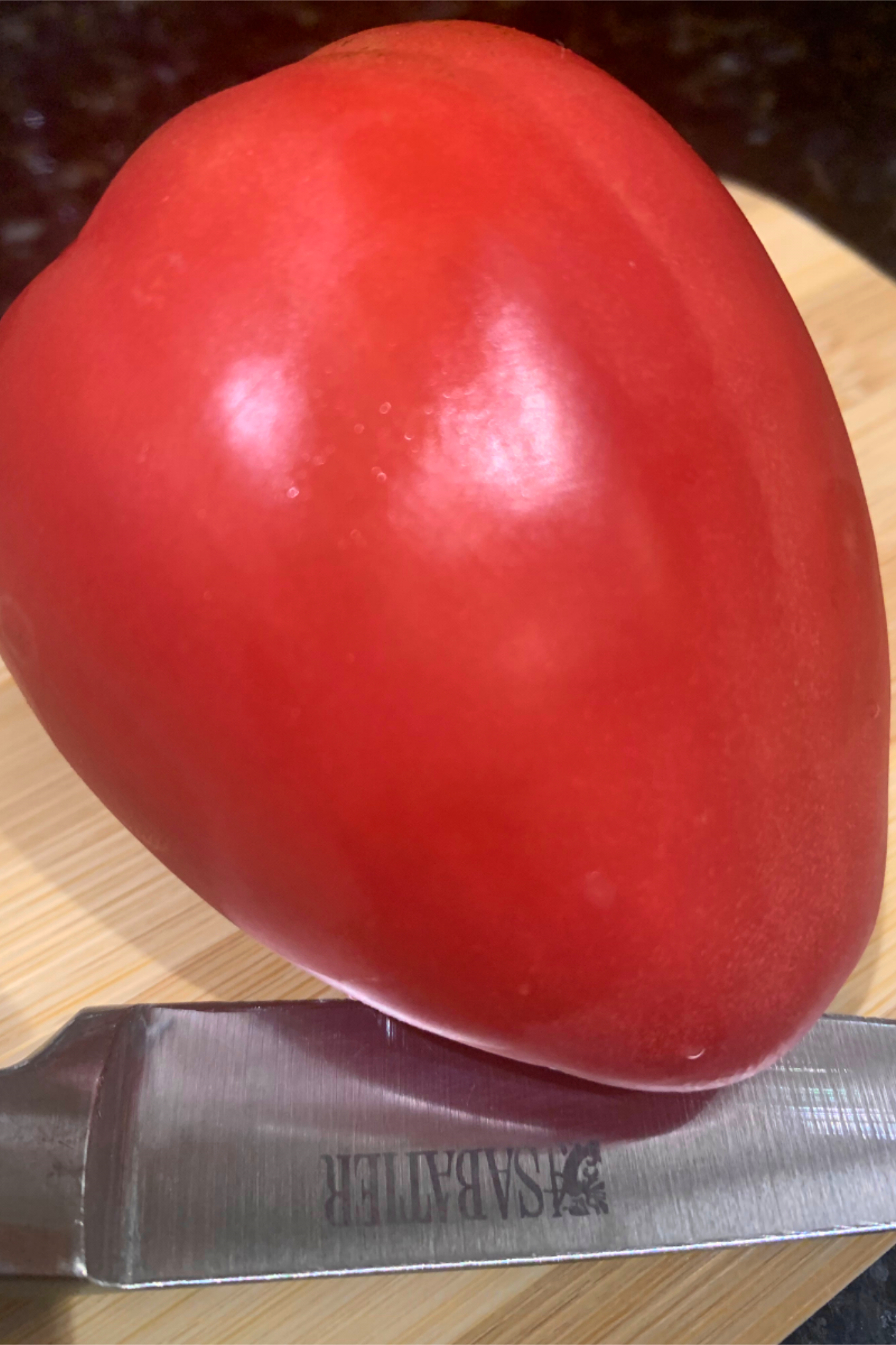 Five tomato superstars for the garden