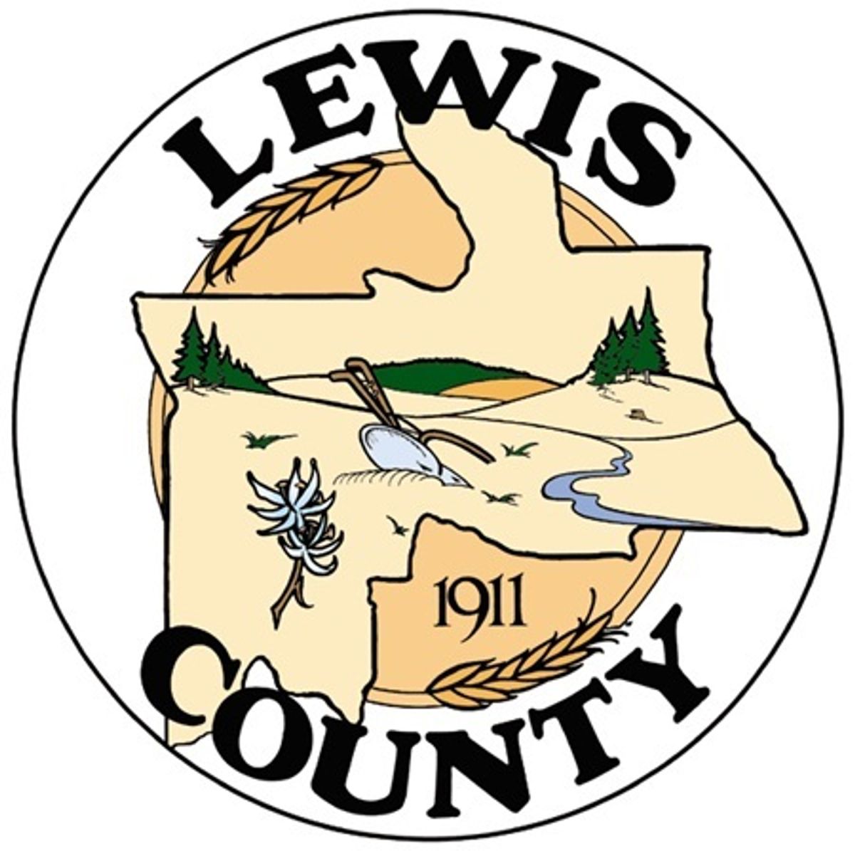 Lewis County sample ballots