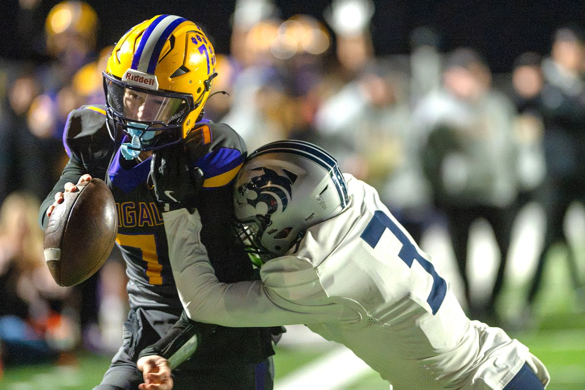 Bengals fall on senior night, but hopes remain alive for postseason