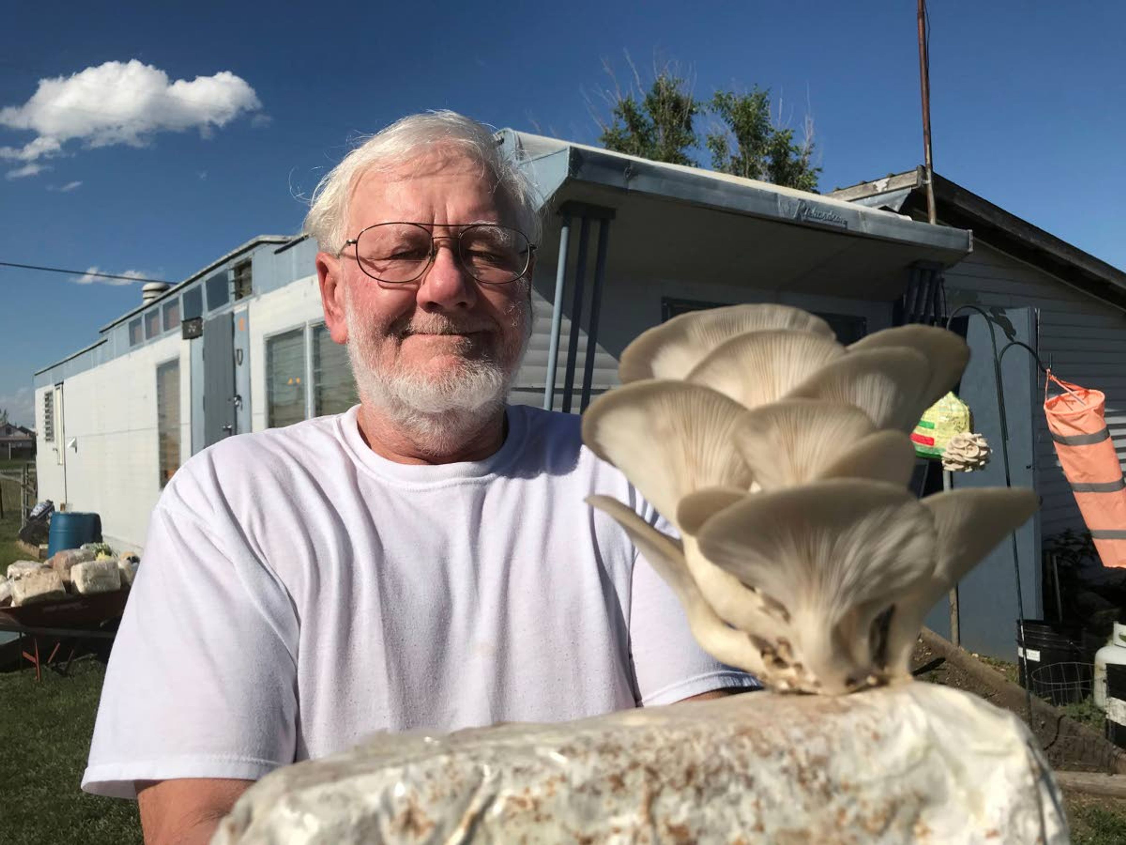 David Schaibley shows how he grows mushrooms on blocks of straw in Valier, Mont. His venture, D.E.S. Mushrooms, sells out at every farmers market he attends.