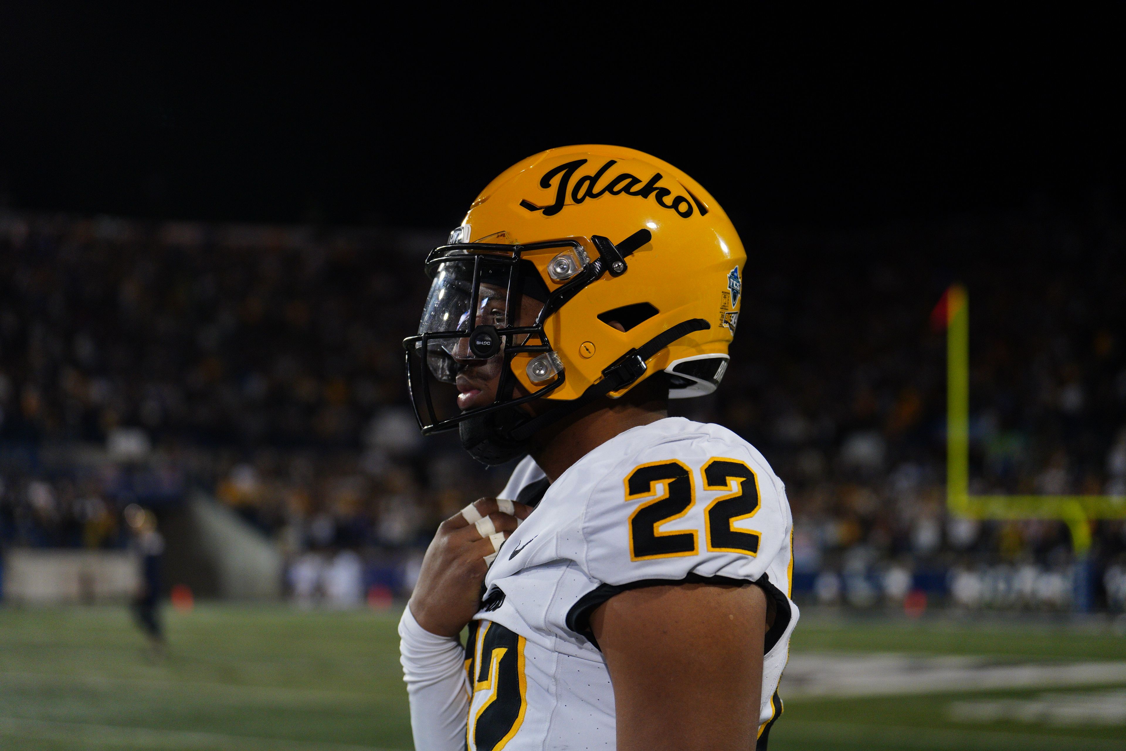 

Idaho 
defensive back Dwayne McDougle looks on during the Vandals’ game versus the Montana State Bobcats on 
Saturday in Bozeman, Mont.

