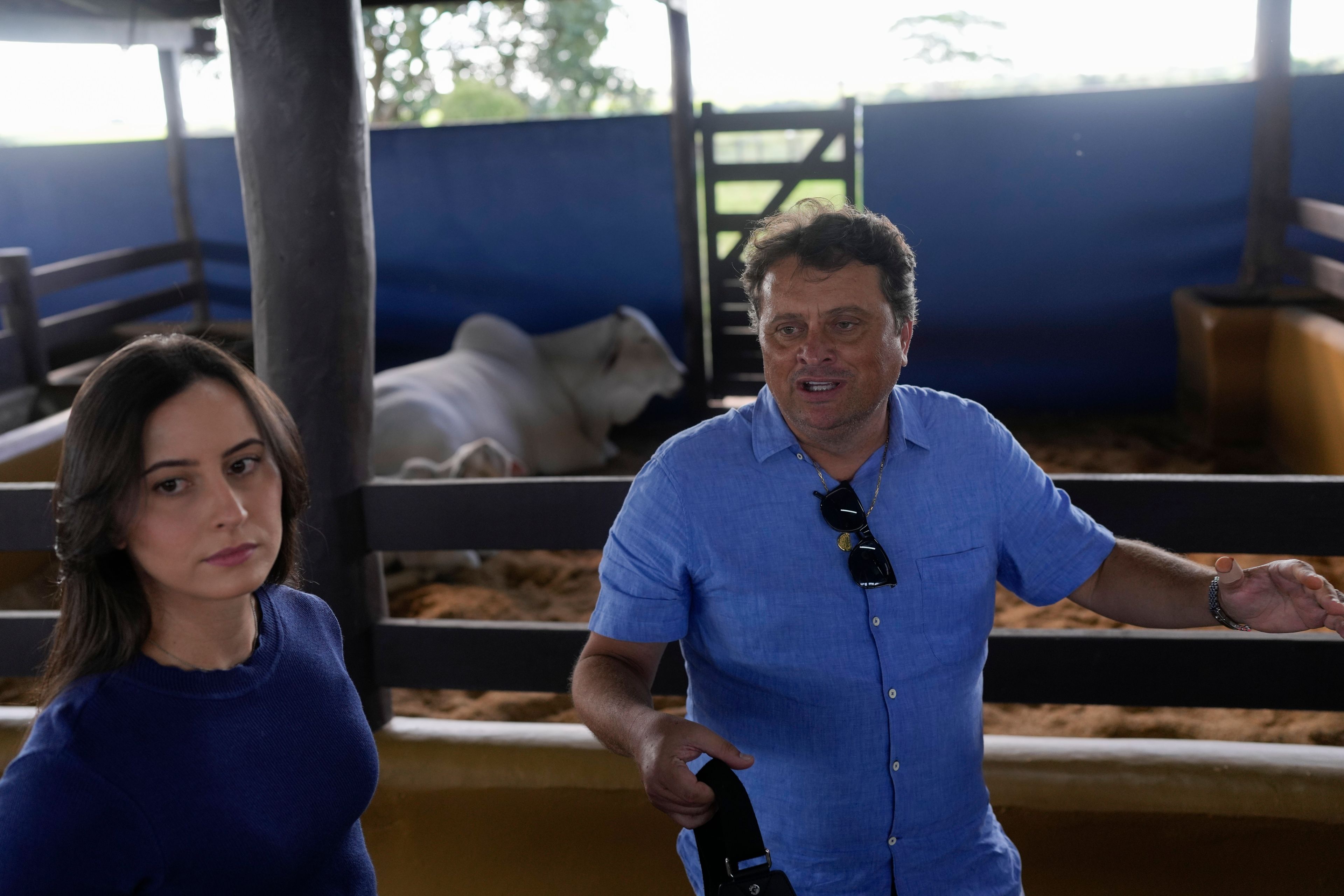 Ney Pereira and his daughter, veterinarian Lorrany Martins, give an interview inside a stable at his farm in Uberaba, Minas Gerais state, Brazil, Friday, April 26, 2024. “We’re not slaughtering elite cattle. We’re breeding them. And at the end of the line, going to feed the whole world,” said Pereira, part owner of Viatina-19.