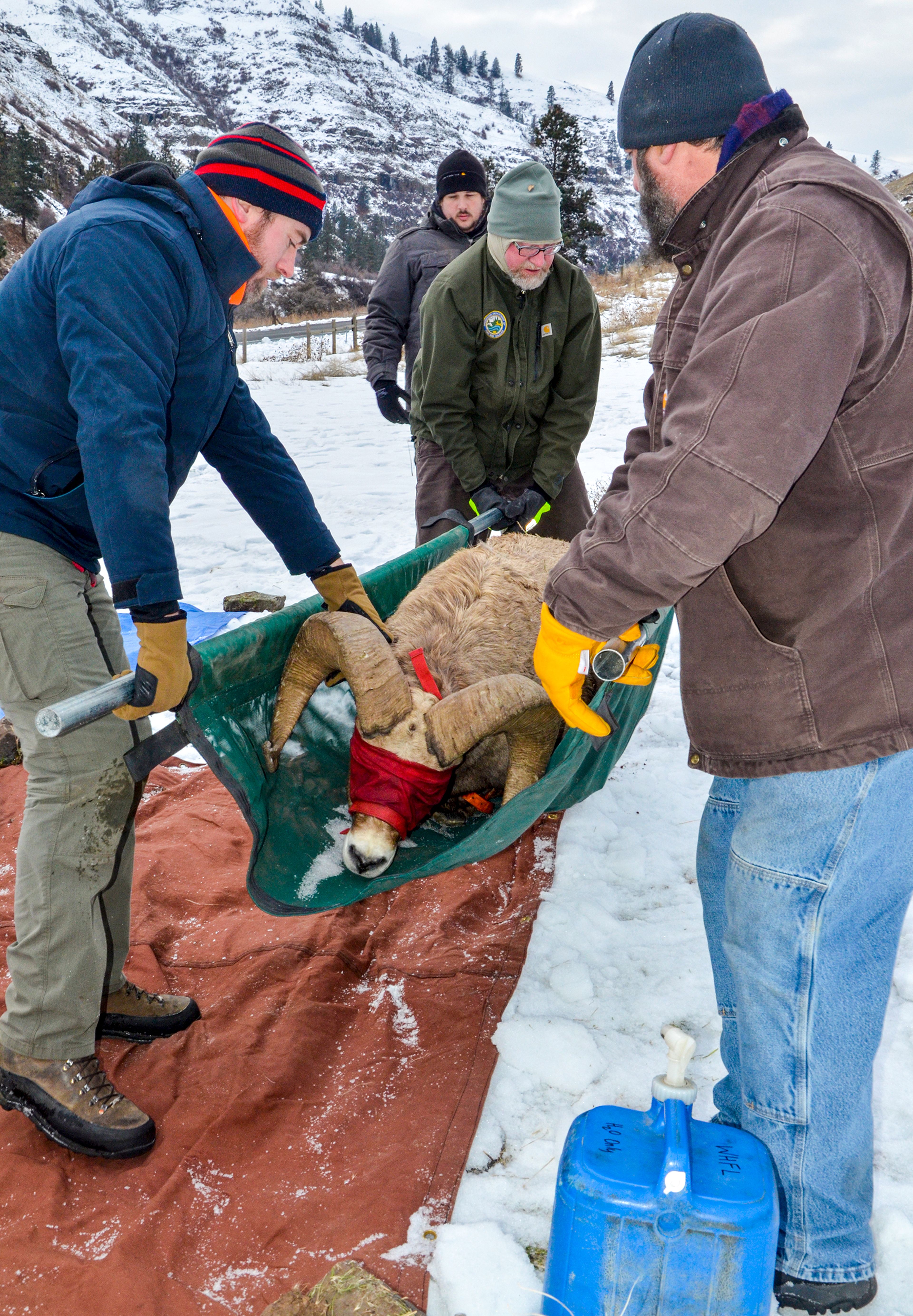 Bighorn boosters to hold draw party