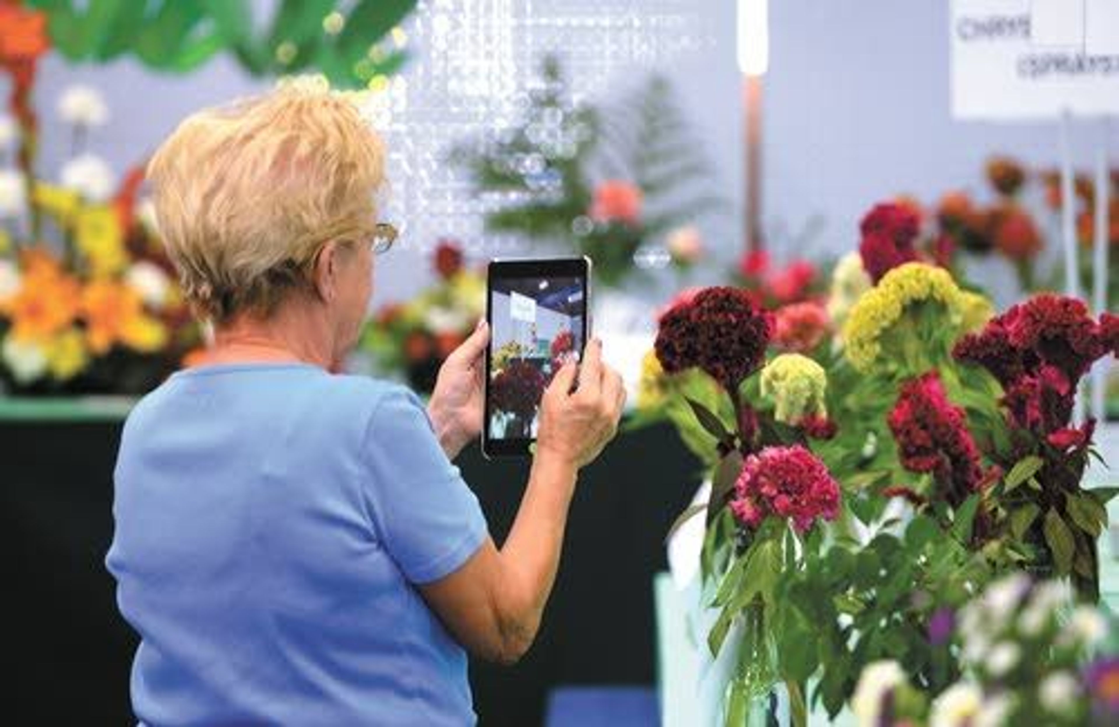 2014 Nez perce County fair results