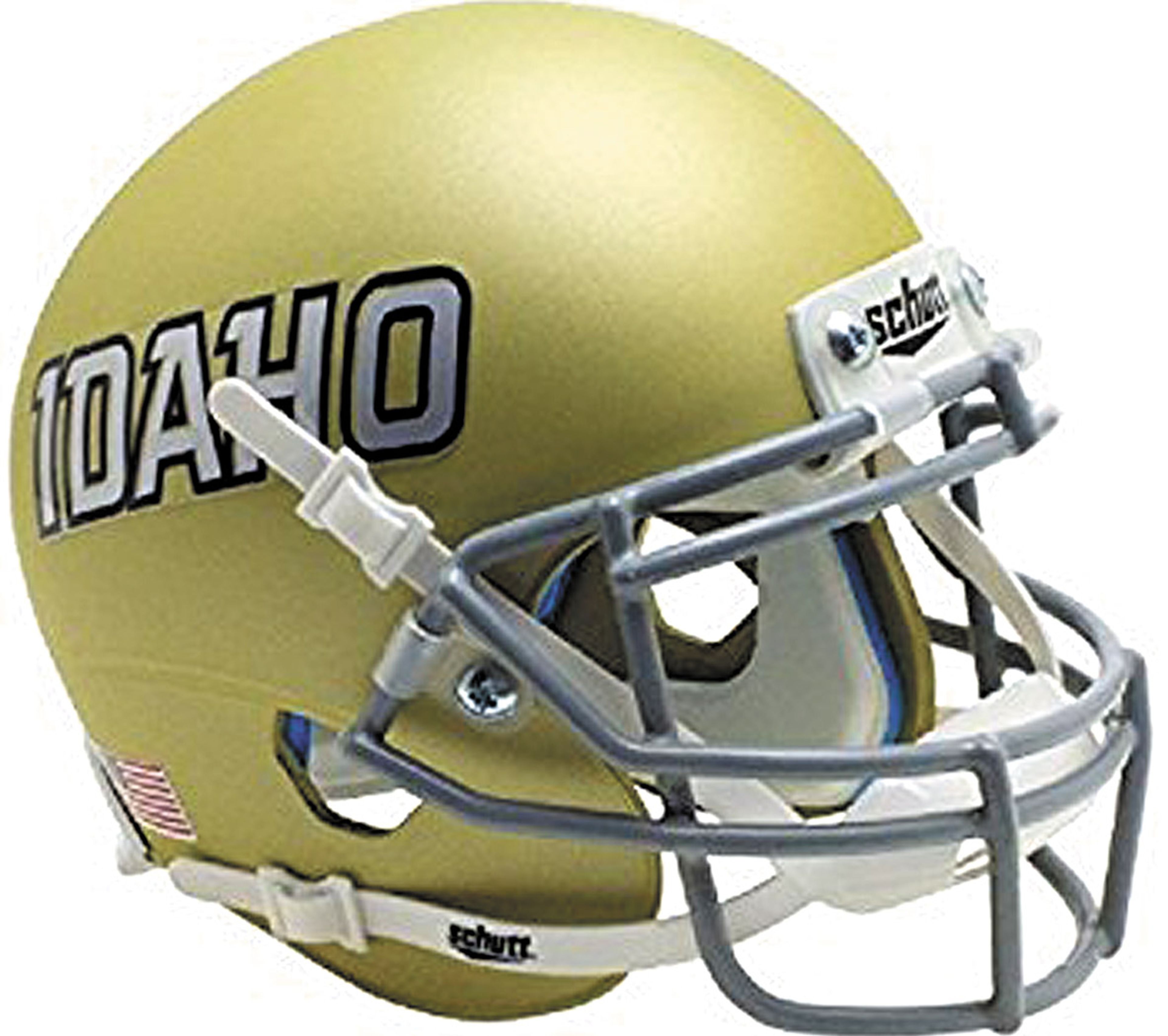 Vandals fall on road to New Mexico State