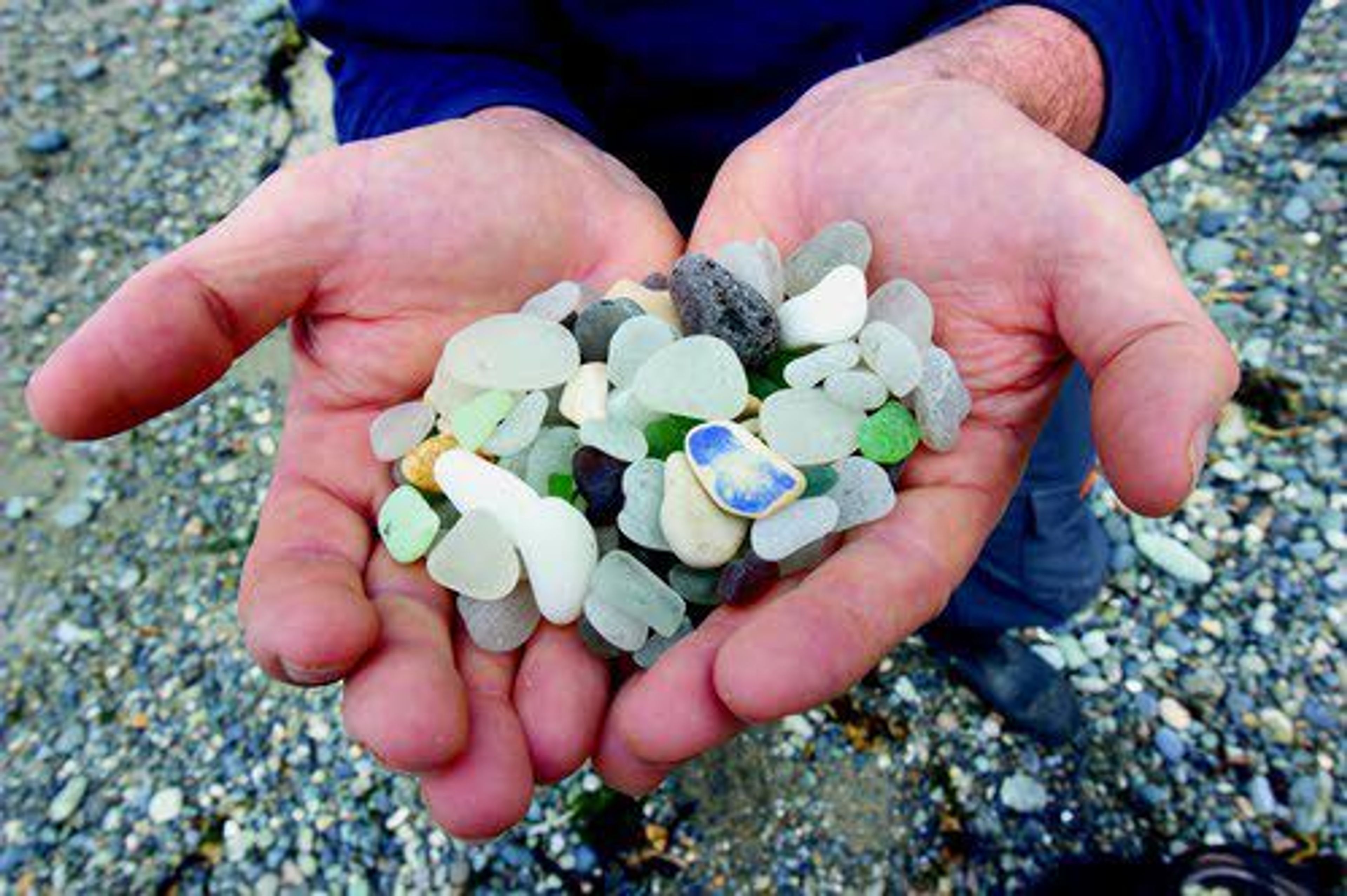 Tim Blair holds a handful of his collection from a day on Glass Beach in Port Townsend, Wash.