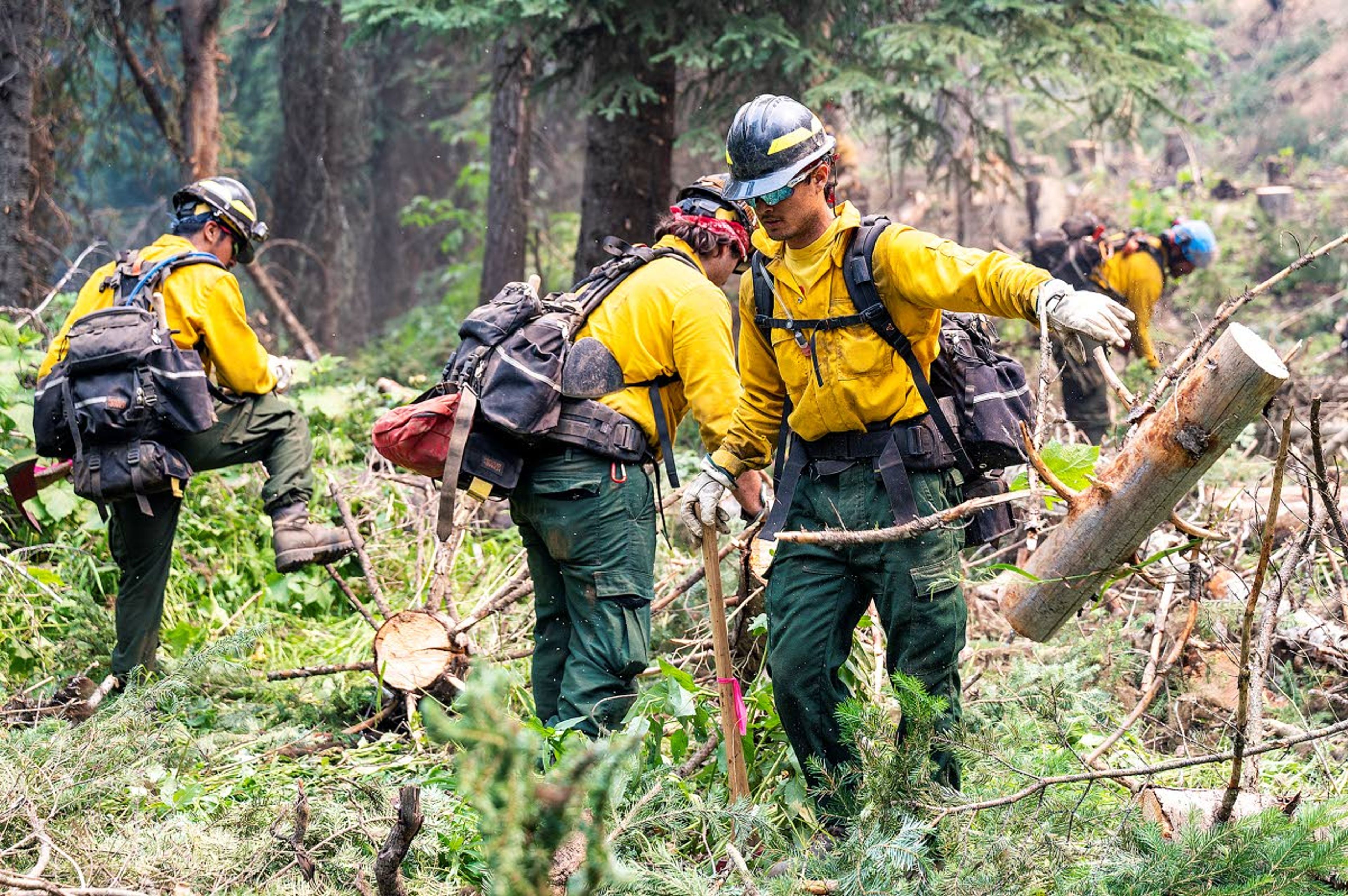 Wildland firefighters clear out fuel near a dozer line where a branch of the Snake River Complex fire is expected to head west of Soldiers Meadow on Thursday afternoon.