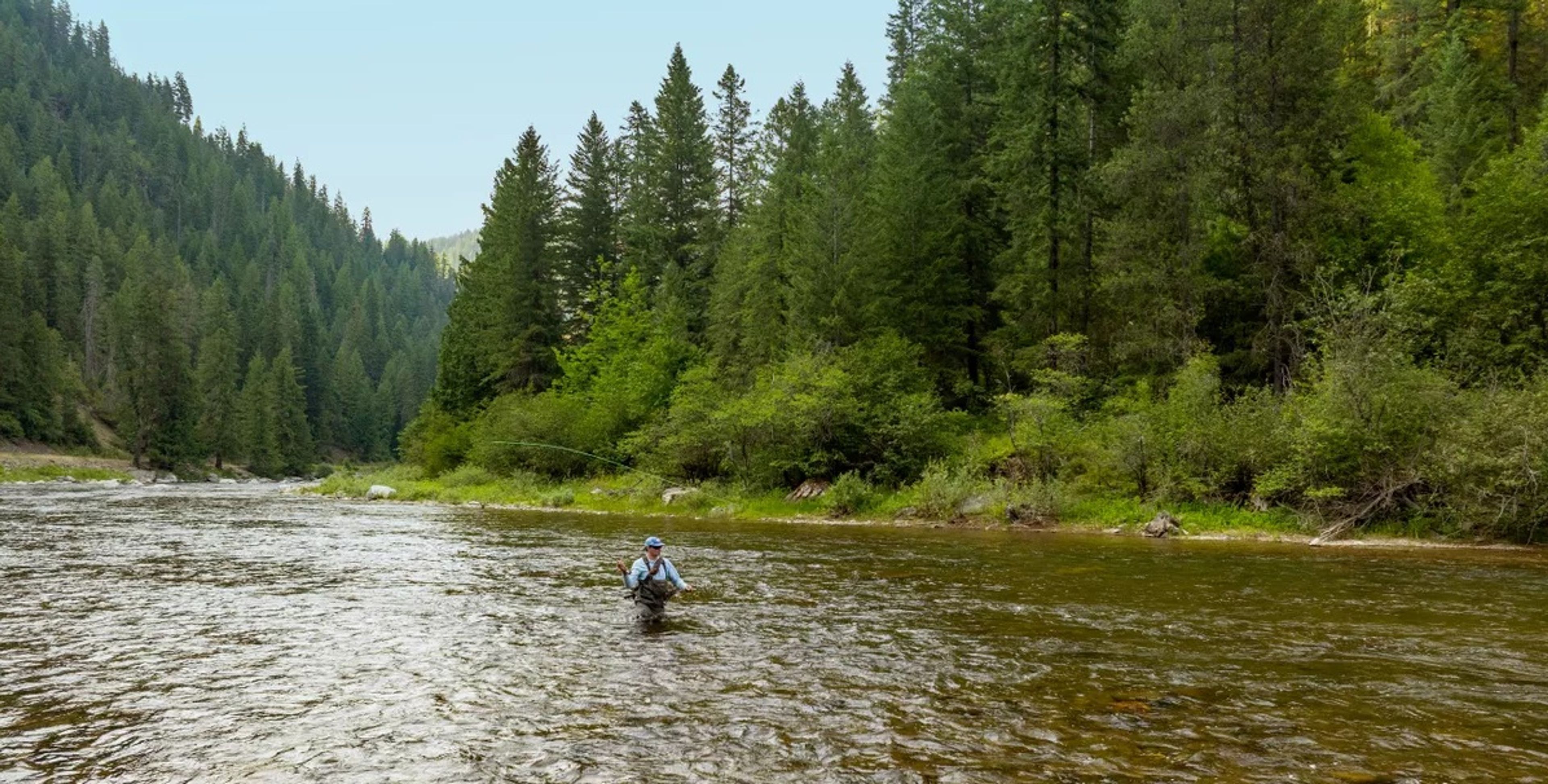Conservancy buys land along St. Joe River