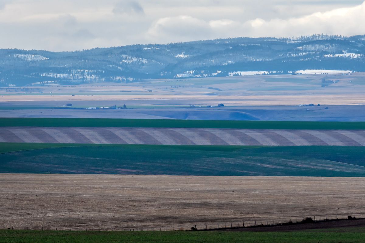 Despite good start, farmers face perils