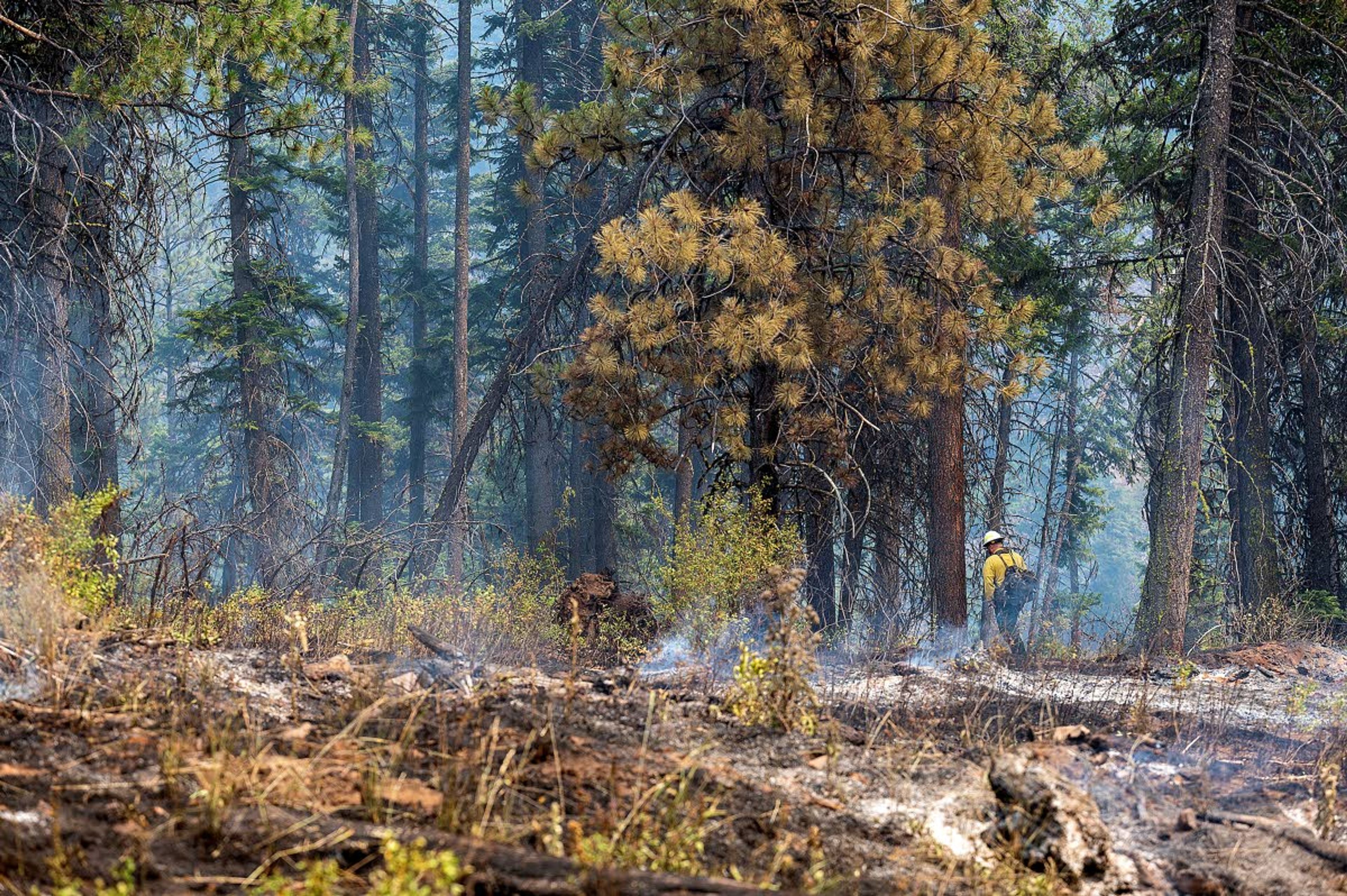 A wildland firefighter inspects where water from a helicopter was dropped to help cool off hot spots on a ridge at the Snake River Complex fire Thursday.