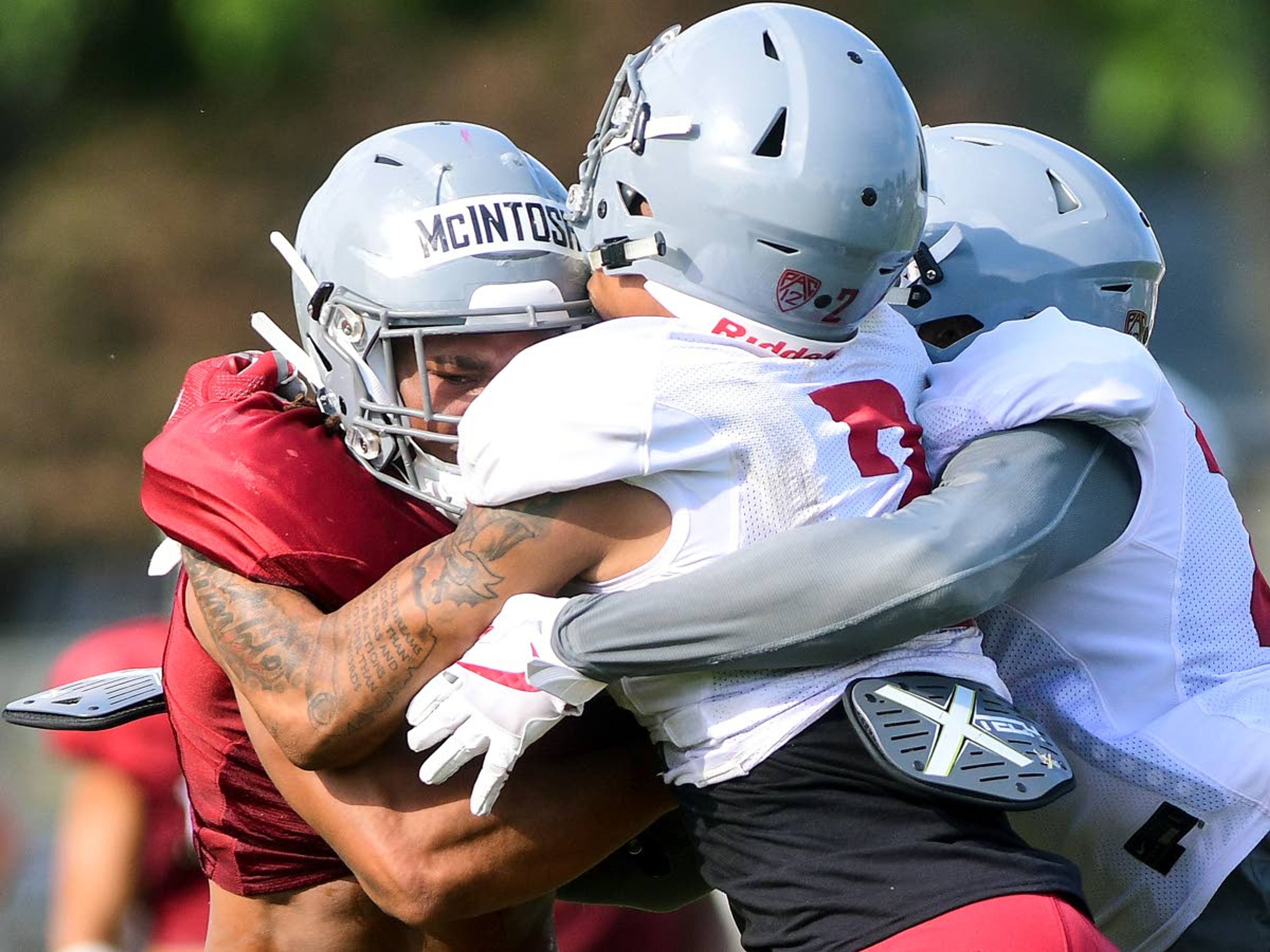 Washington State running back Deon McIntosh is tackled by defensive backs Derrick Langford (2) and Bryce Beekman during team drills on Tuesday in Lewiston.