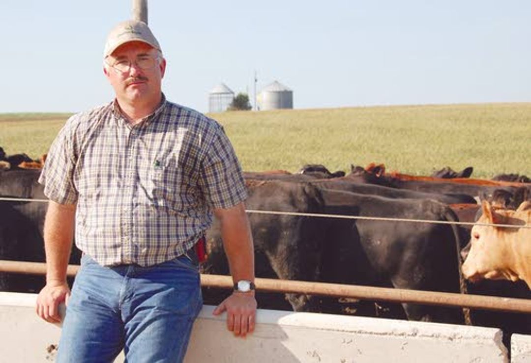 Ethanol byproduct can be used as livestock feed