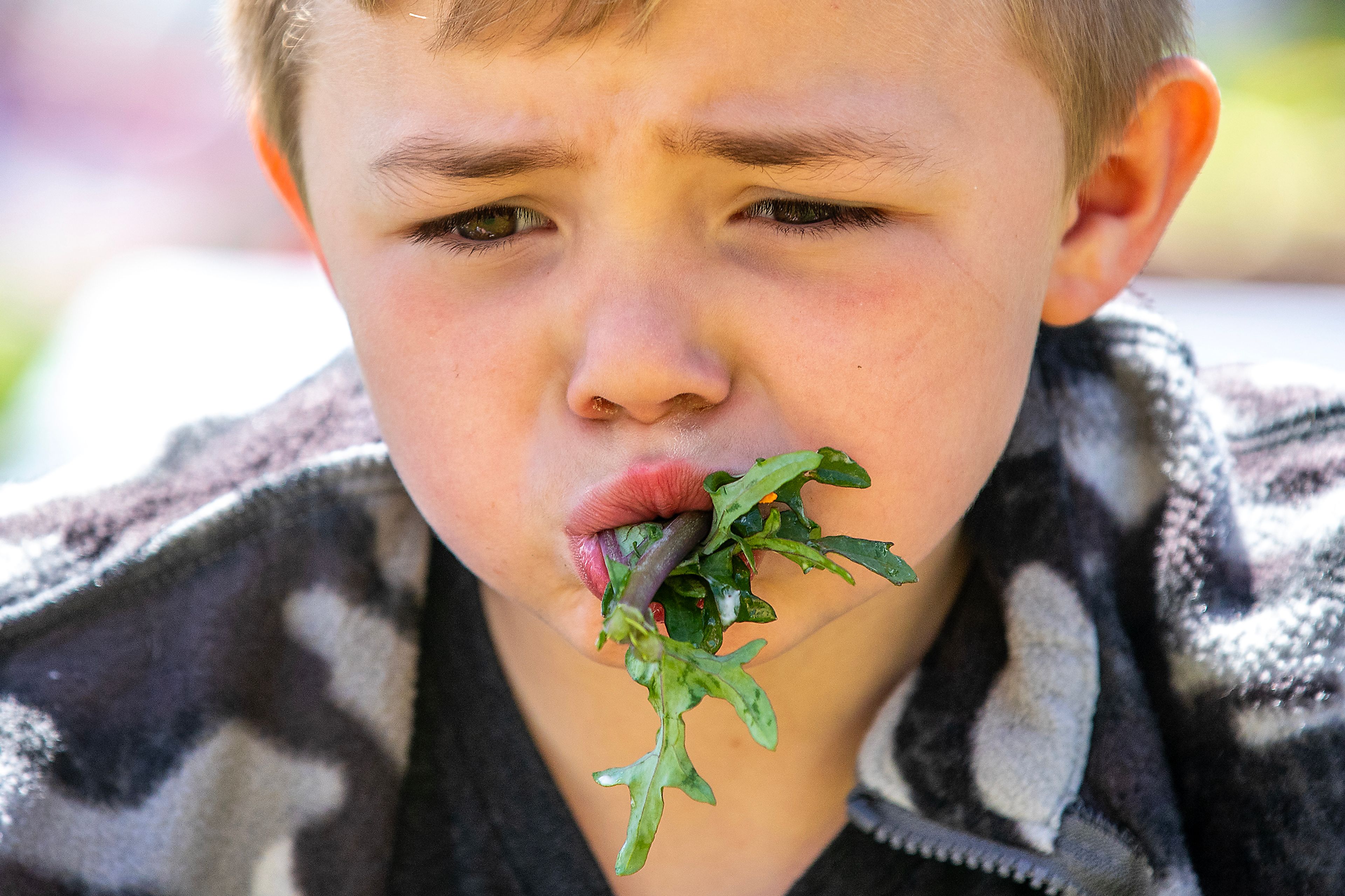 Gabe Anderson, 7, eats some salad that his class and others helped grow at Grantham Elementary Monday in Clarkston.