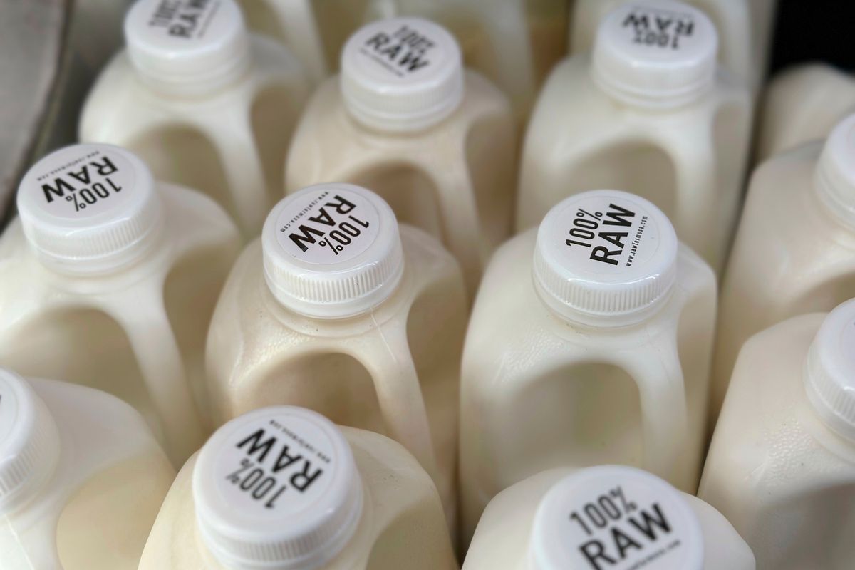There are multiple hazards associated with consuming raw milk