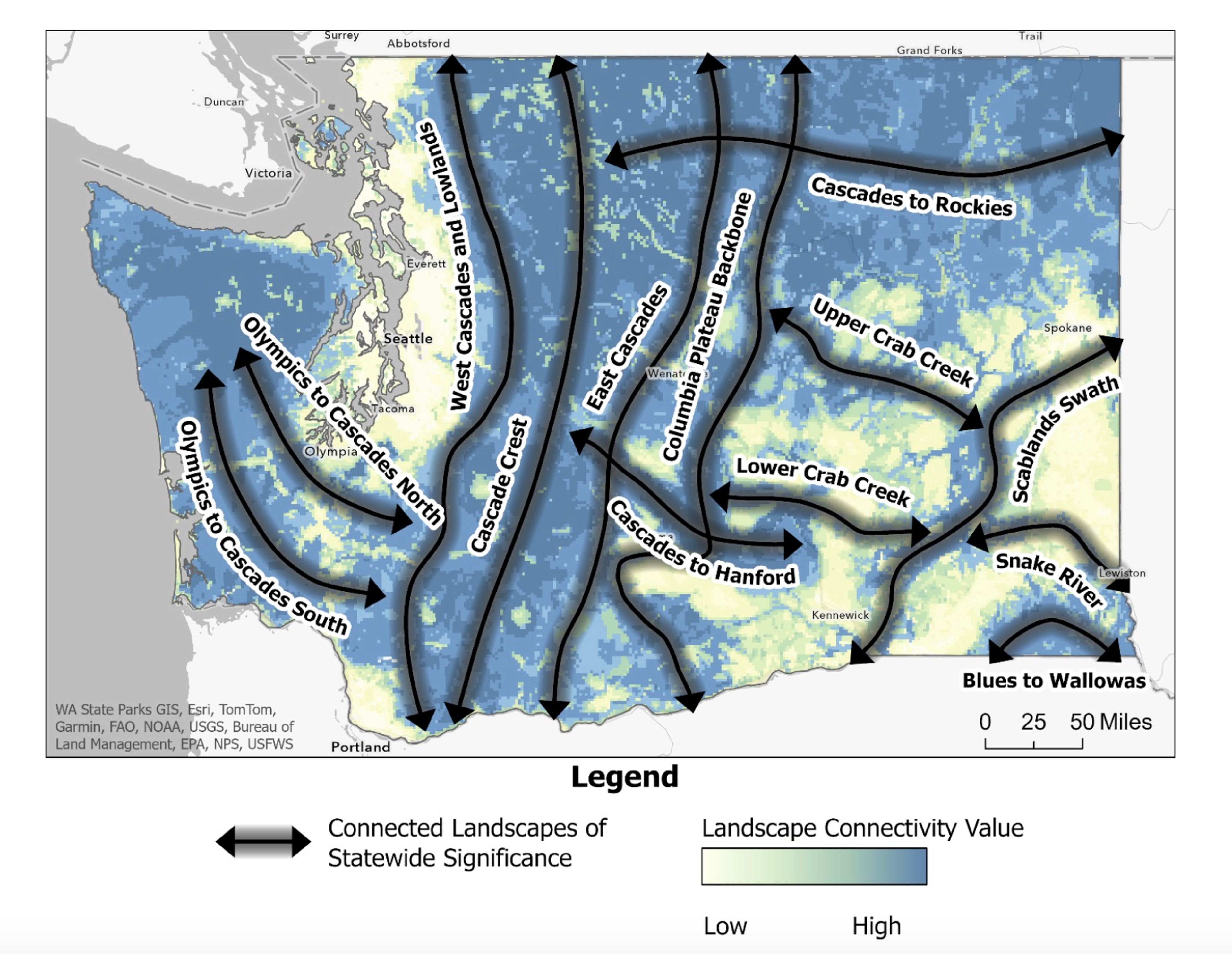 Preventing crashes, protecting wildlife is goal of new Washington plan