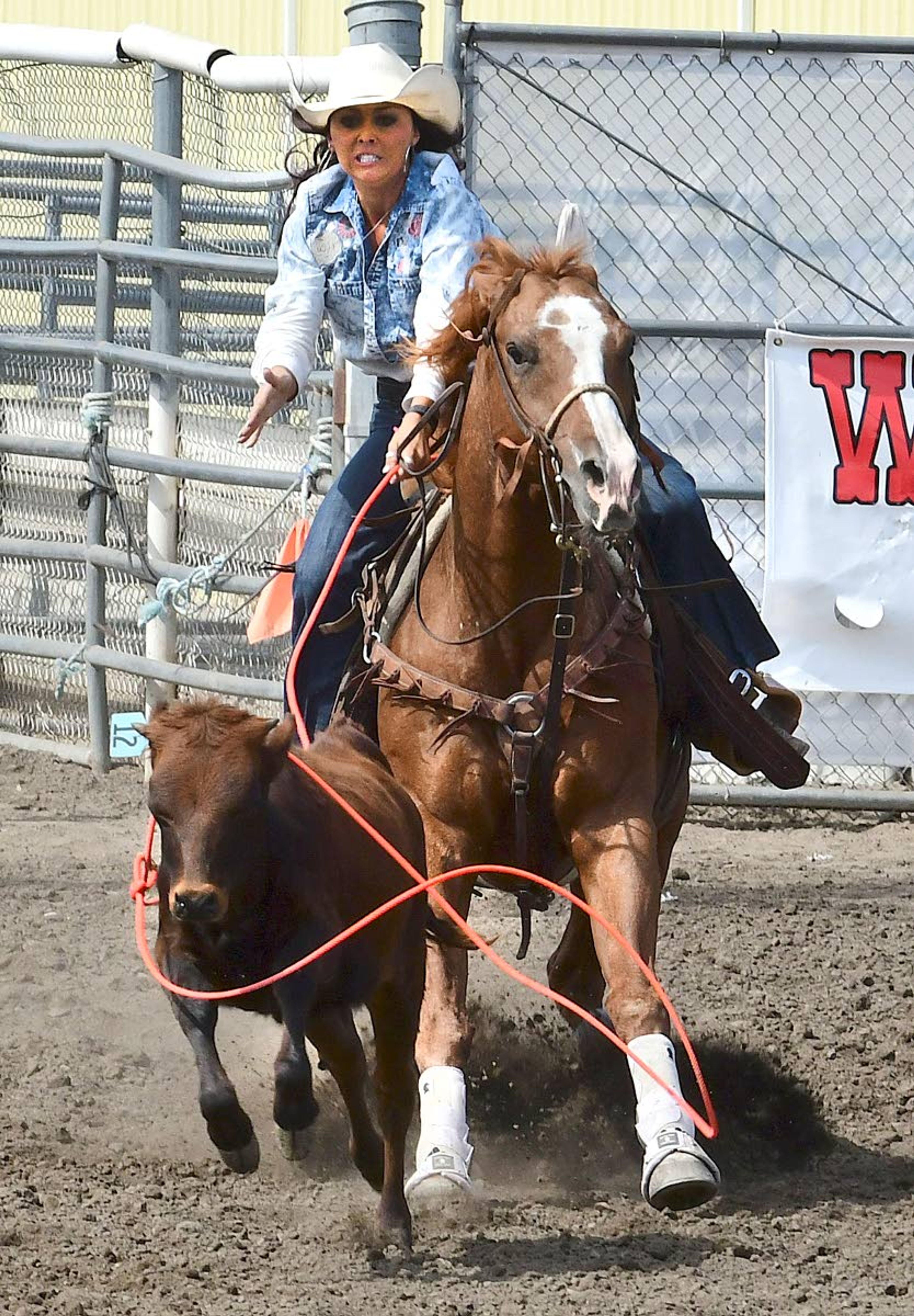 Macy Fuller watches her loop encircle the calf’s neck just before the calf stepped through the loop Tuesday during the Lewiston Roundup’s overflow action called “slack.” Women’s breakaway roping is making its debut at this year’s Roundup.