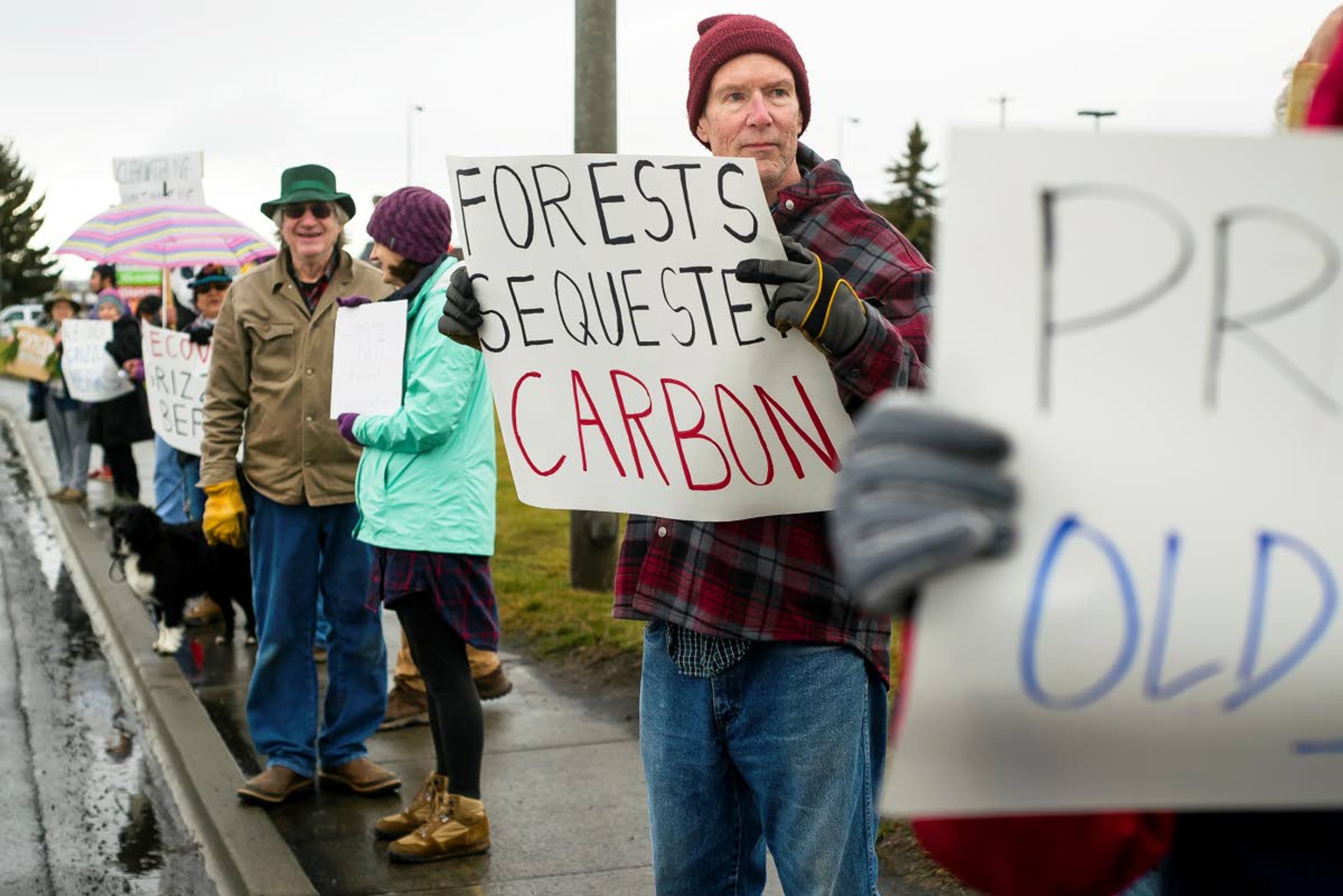 Stuart Tolman, of Moscow, lines the sidewalk on the Moscow-Pullman Highway with fellow demonstrators during a protest Saturday of the Nez Perce-Clearwater National Forest’s draft forest plan revision at Best Western Plus University Inn at Moscow. “It’s important we keep what is still roadless forest, roadless,” Tolman said.